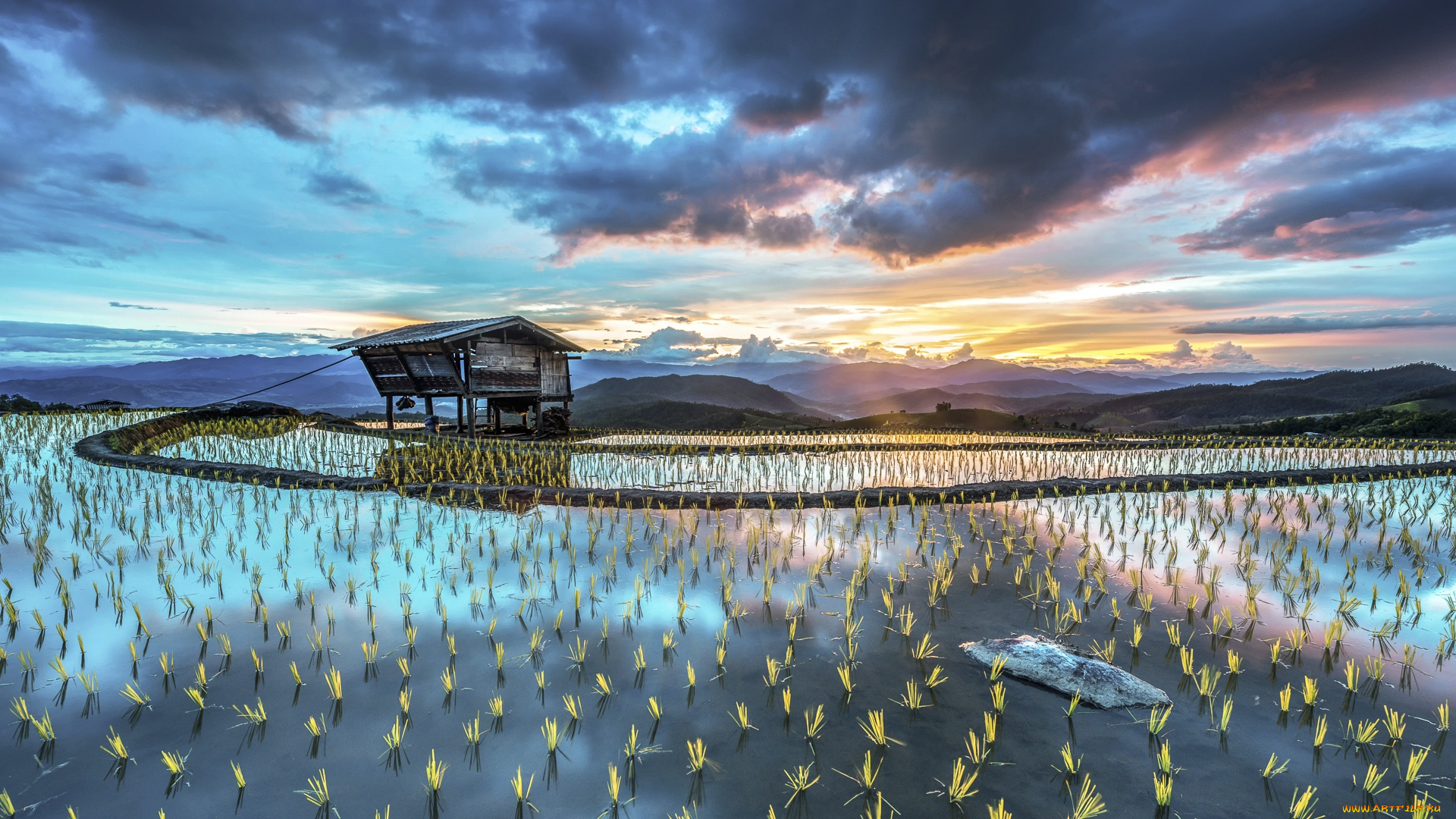 природа, поля, пейзаж