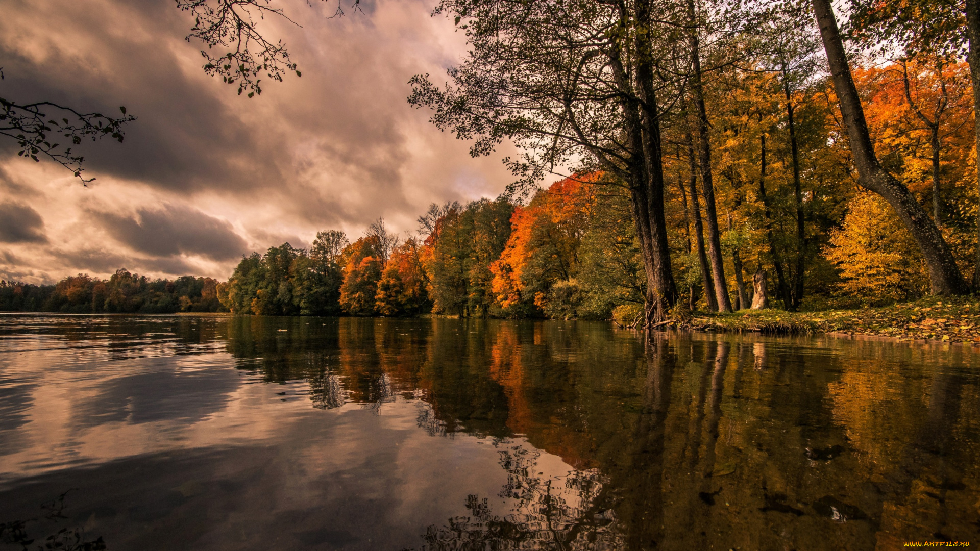 природа, реки, озера, отражение, вода, река