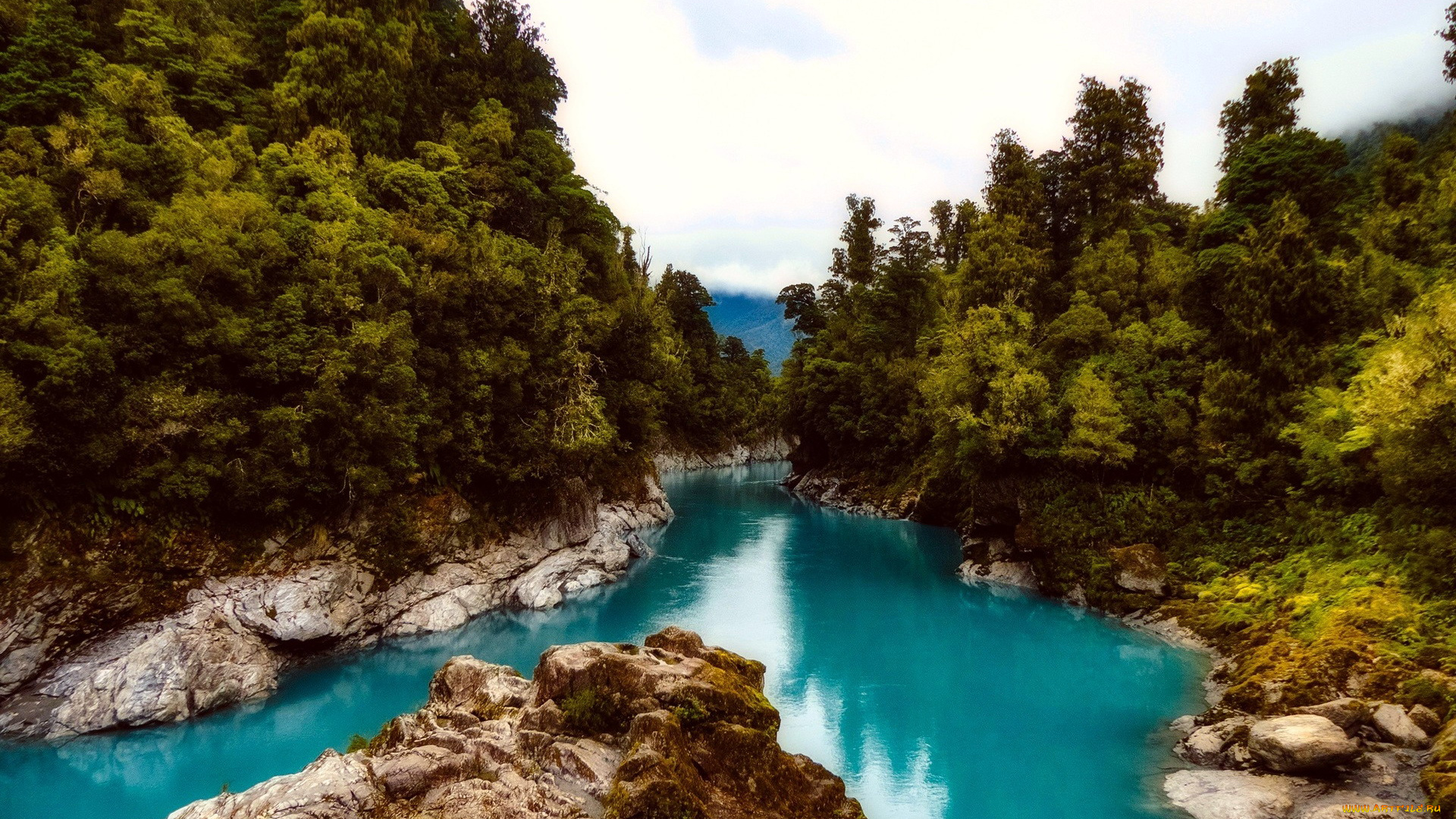 природа, реки, озера, река, деревья, вода