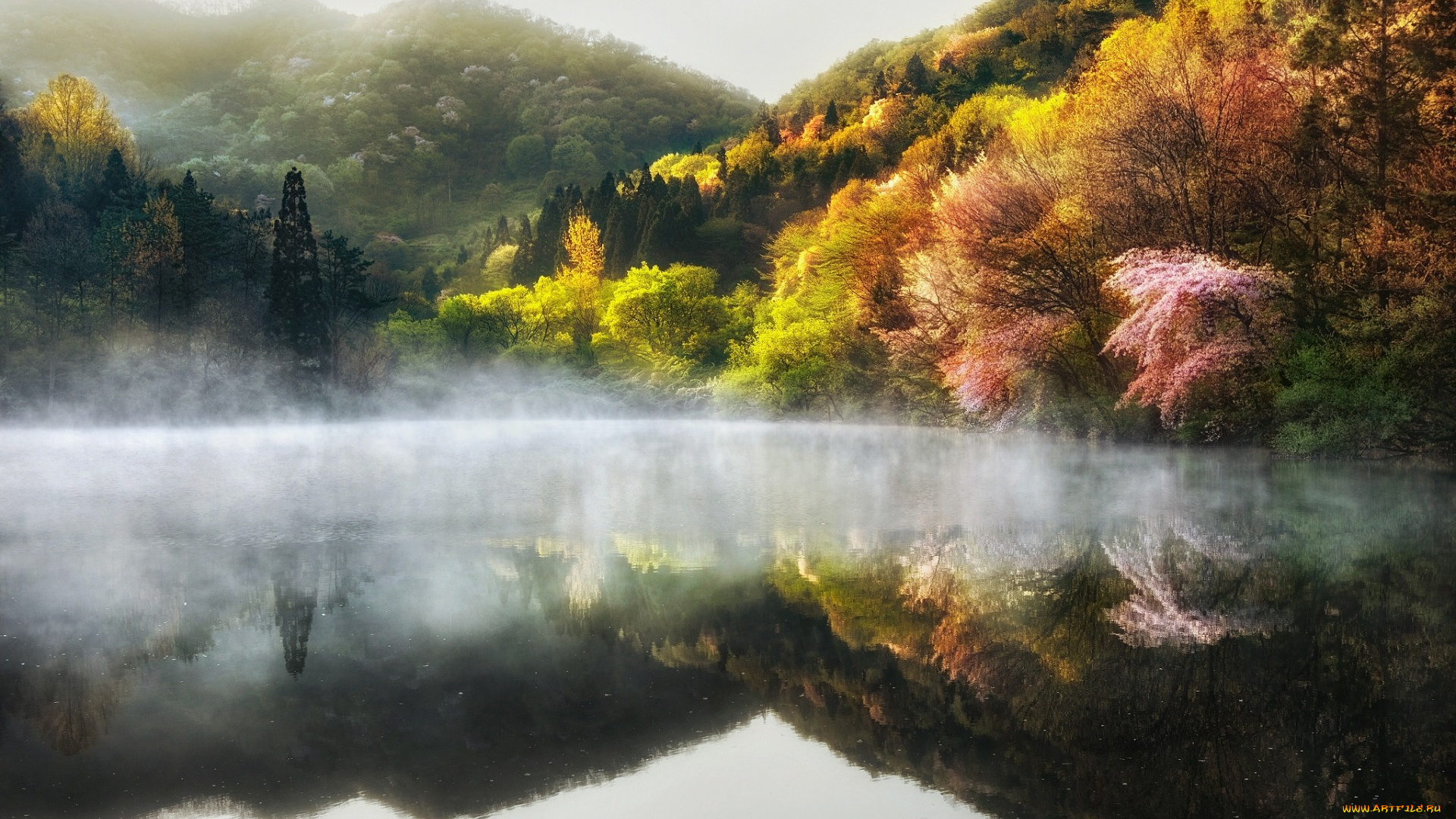 природа, реки, озера, туман