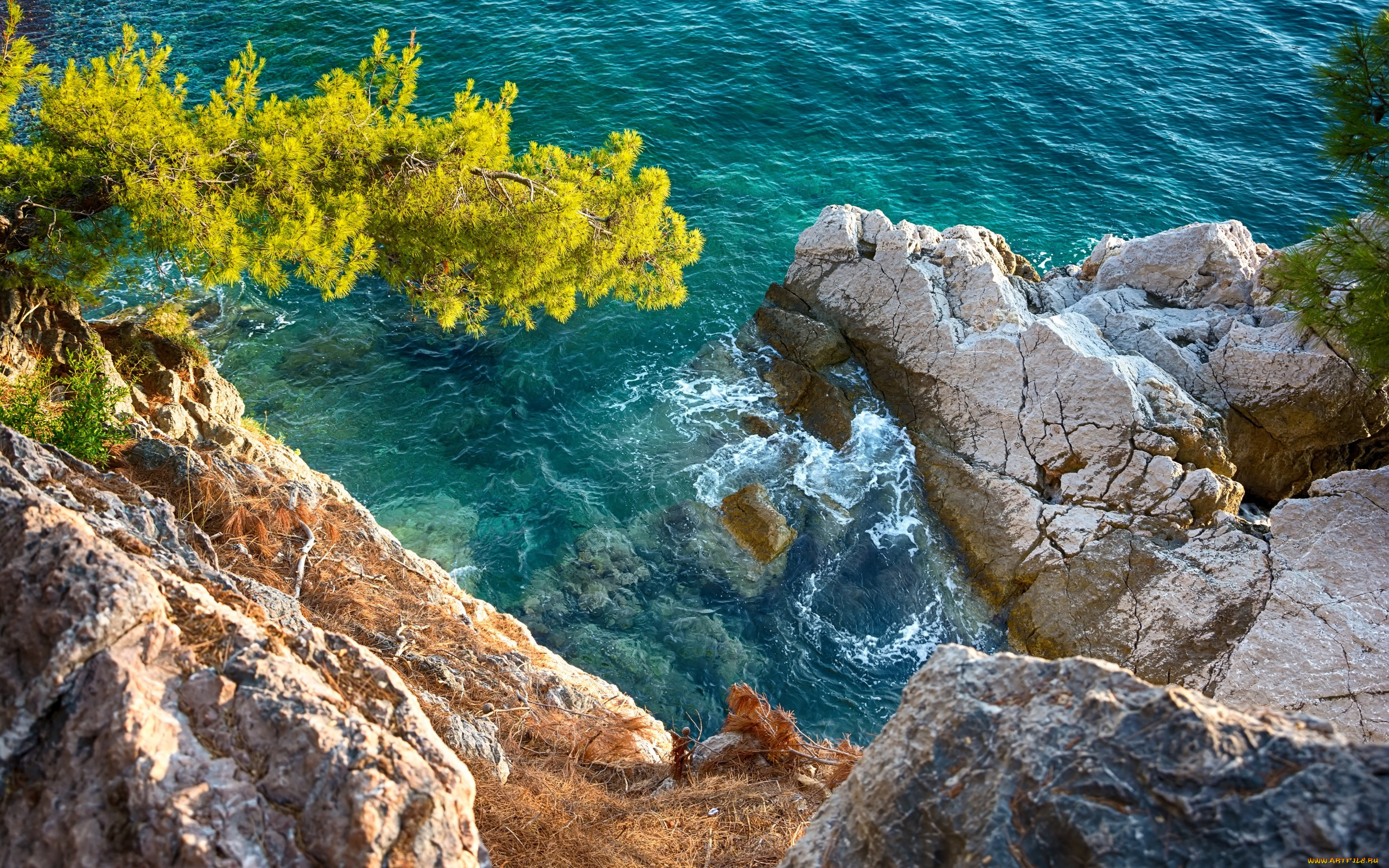 природа, побережье, скалы