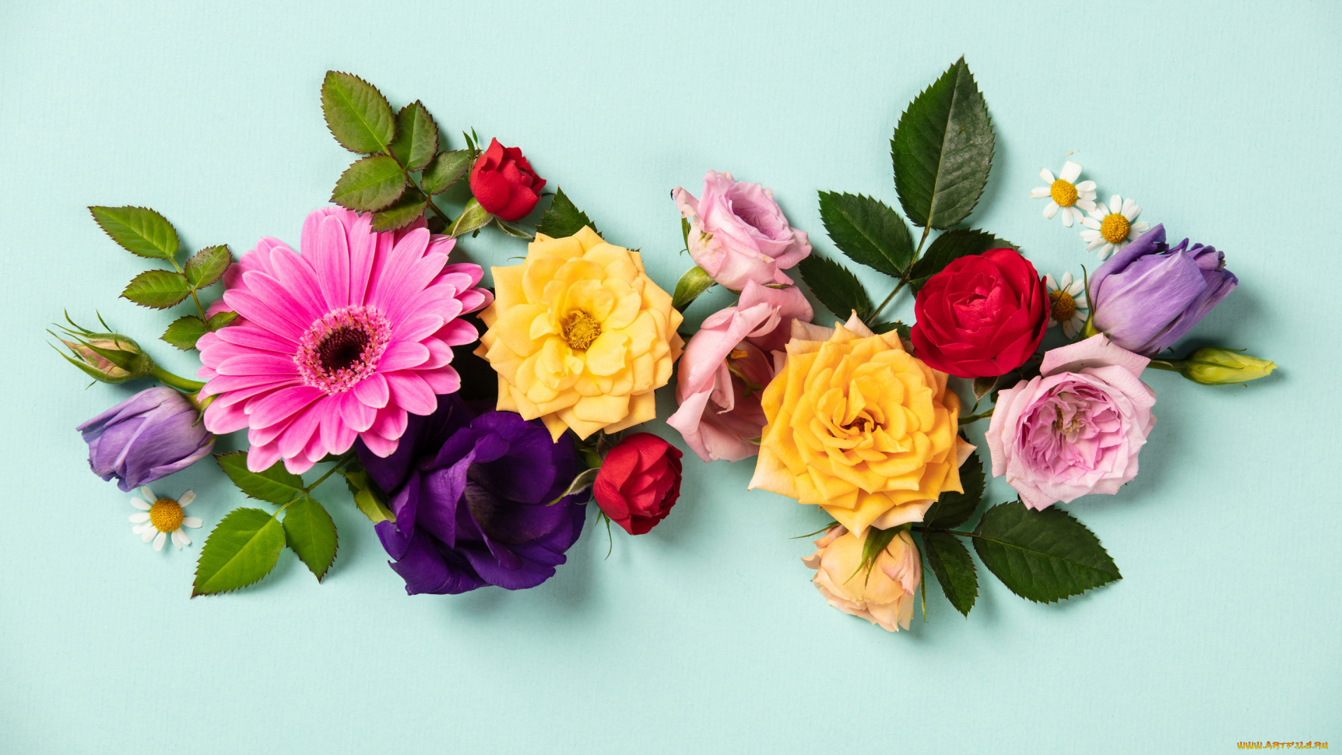 цветы, разные, вместе, colorful, flowers, composition, floral