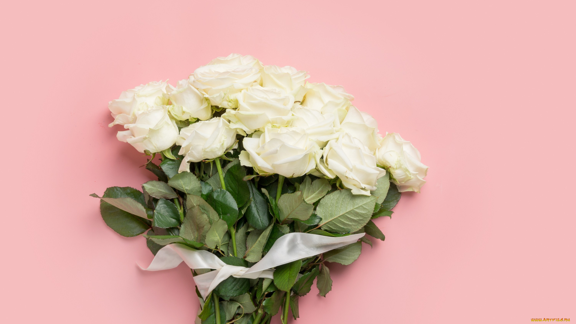 цветы, розы, букет, бутоны, фон