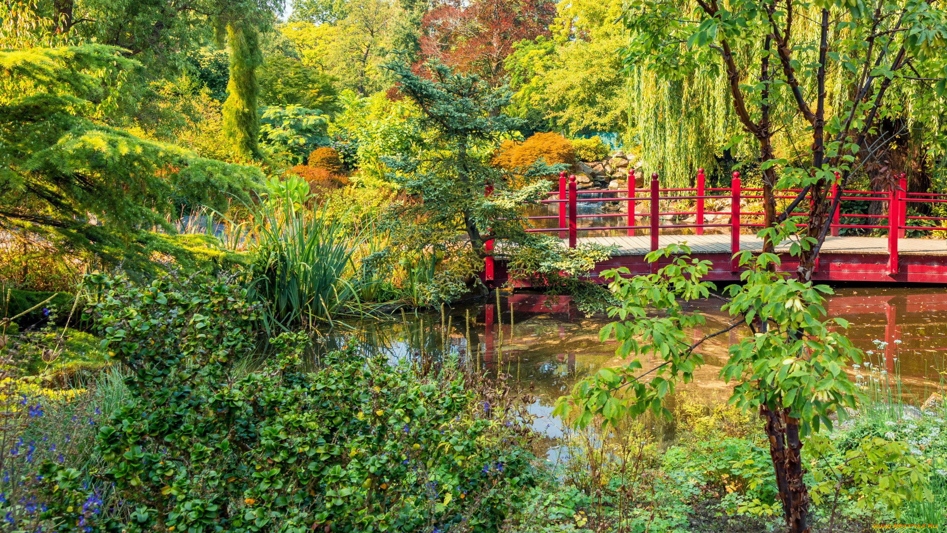 природа, парк, водоем, мостик