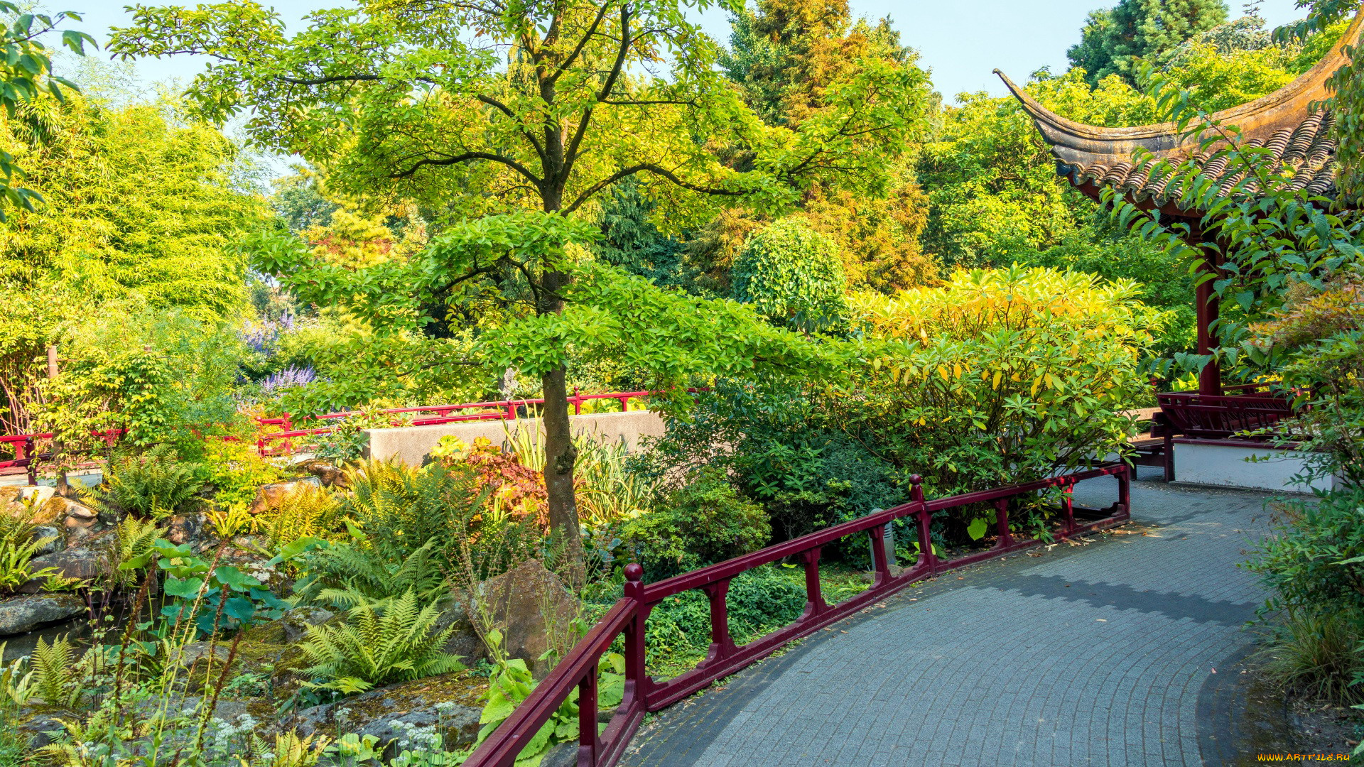 природа, парк, японский, садик