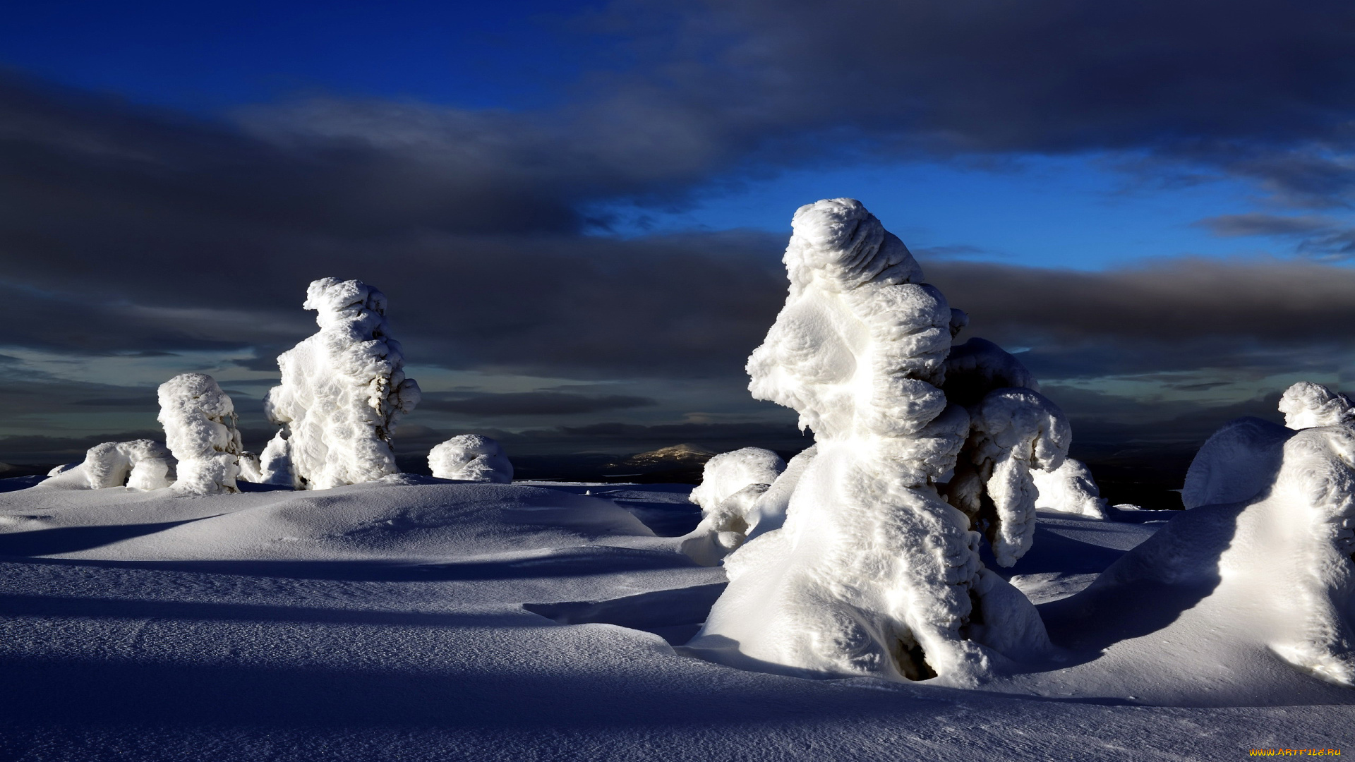 природа, зима, снег, сугробы