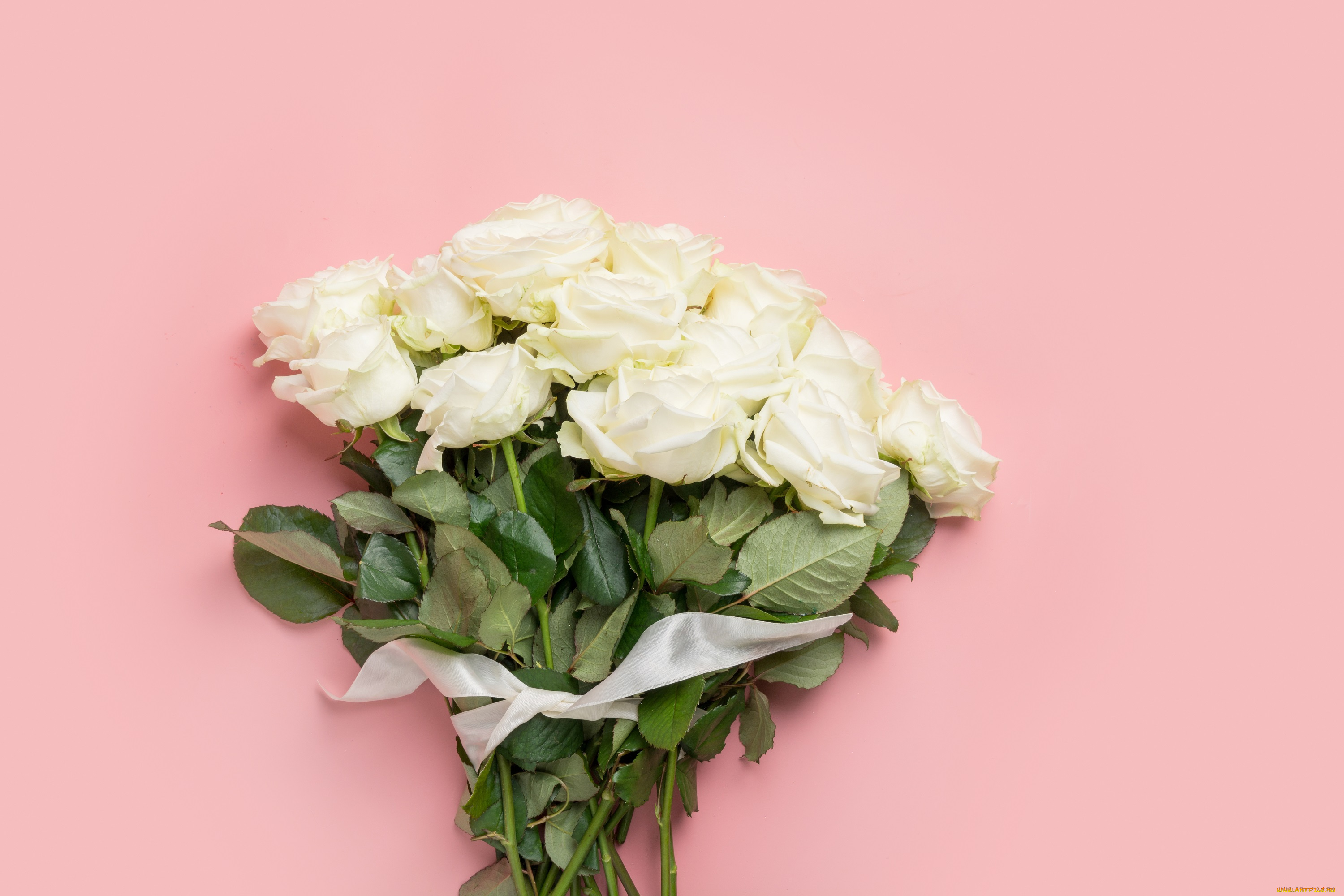 цветы, розы, букет, бутоны, фон