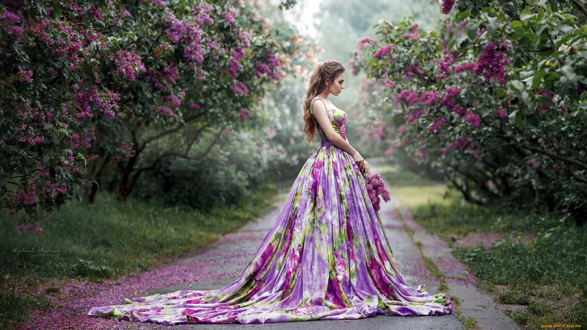 девушки, -, брюнетки, , шатенки, парк, весна, сирень, шатенка