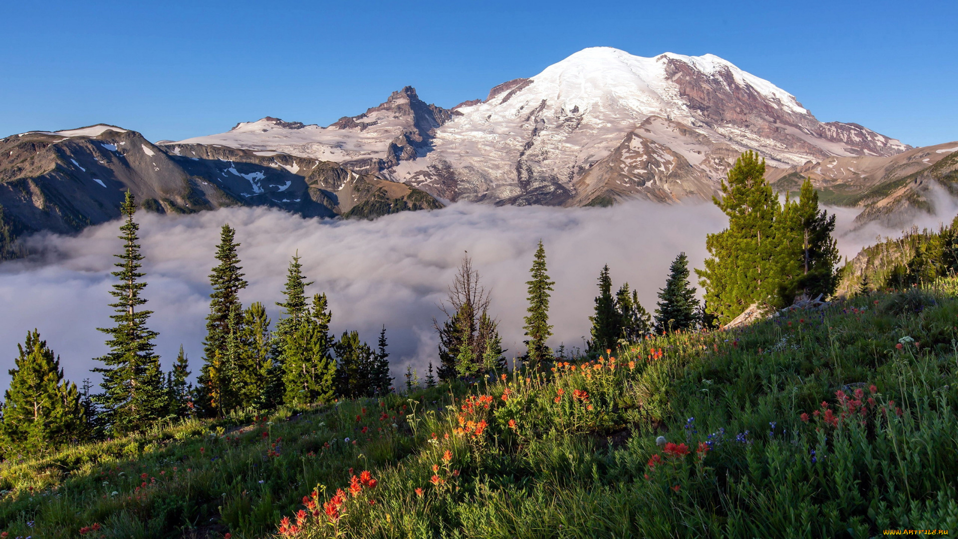 mount, rainier, national, park, pearce, county, usa, природа, горы, mount, rainier, national, park, pearce, county