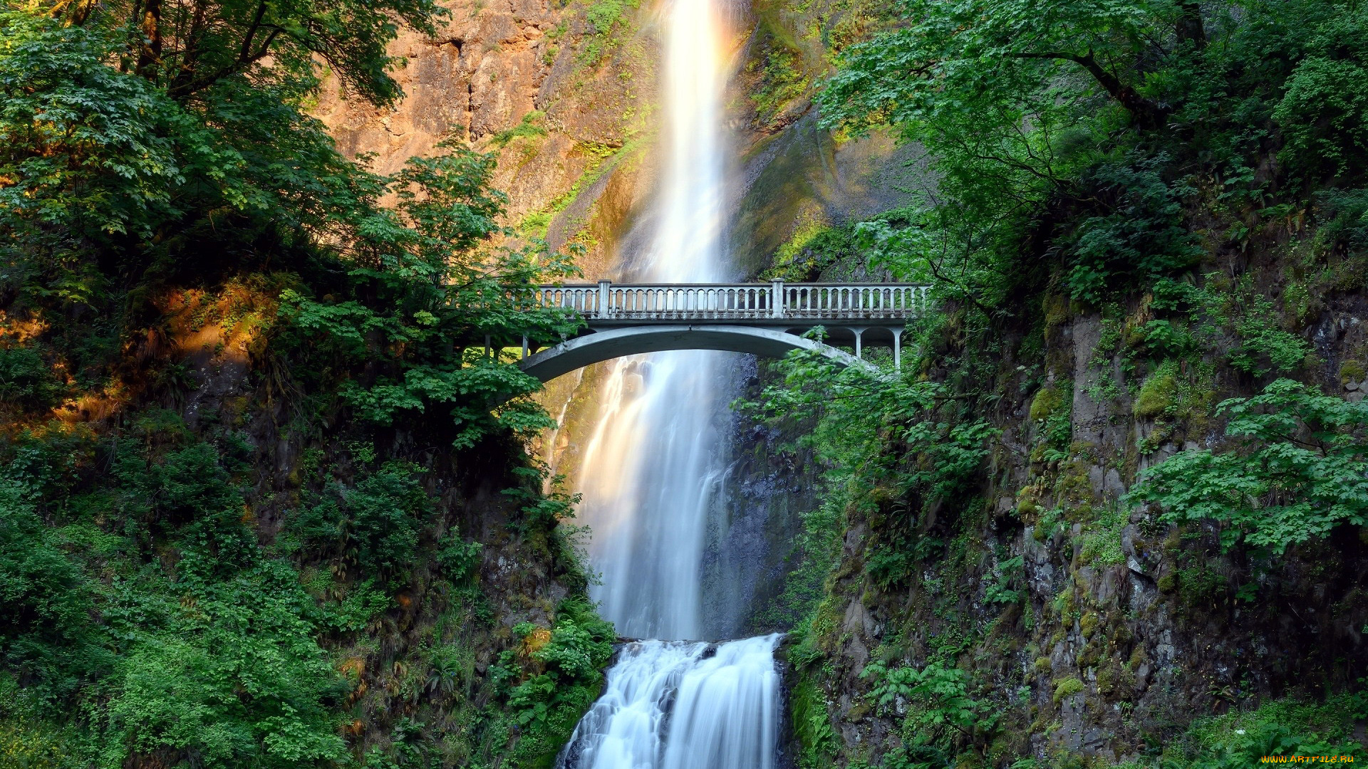 multnomah, falls, oregon, природа, водопады, multnomah, falls
