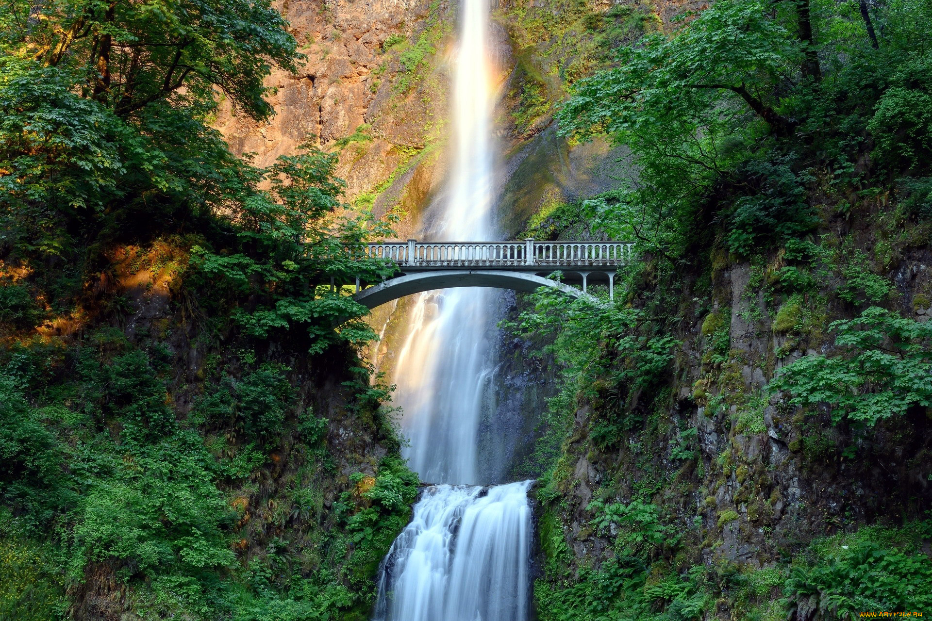 multnomah, falls, oregon, природа, водопады, multnomah, falls