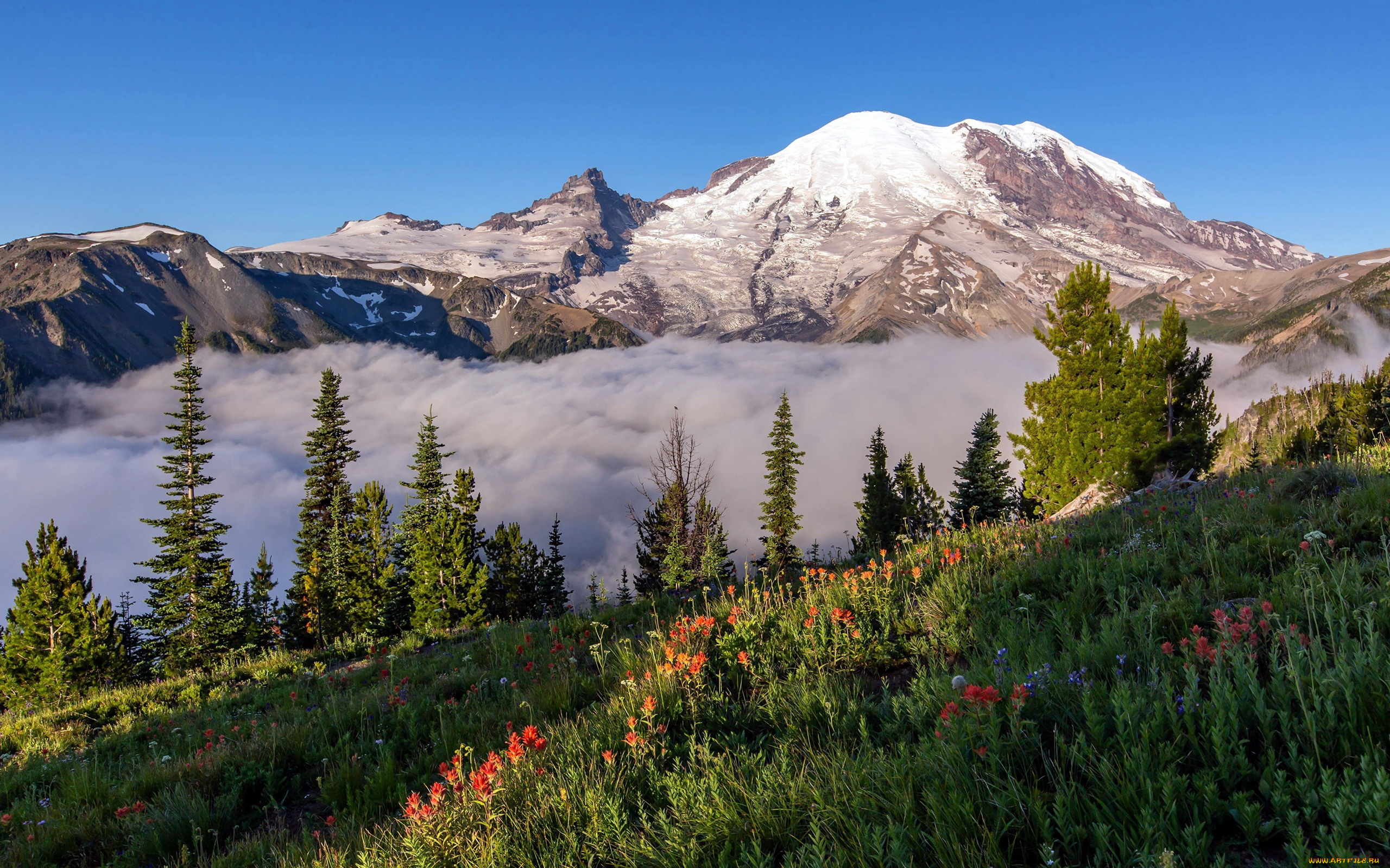 mount, rainier, national, park, pearce, county, usa, природа, горы, mount, rainier, national, park, pearce, county
