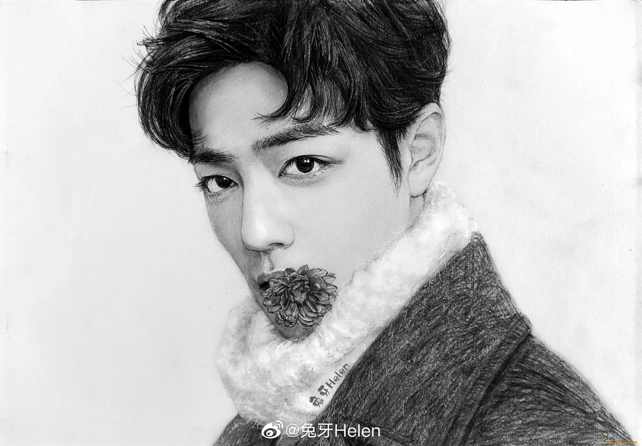 рисованное, люди, актер, лицо, сяо, чжань