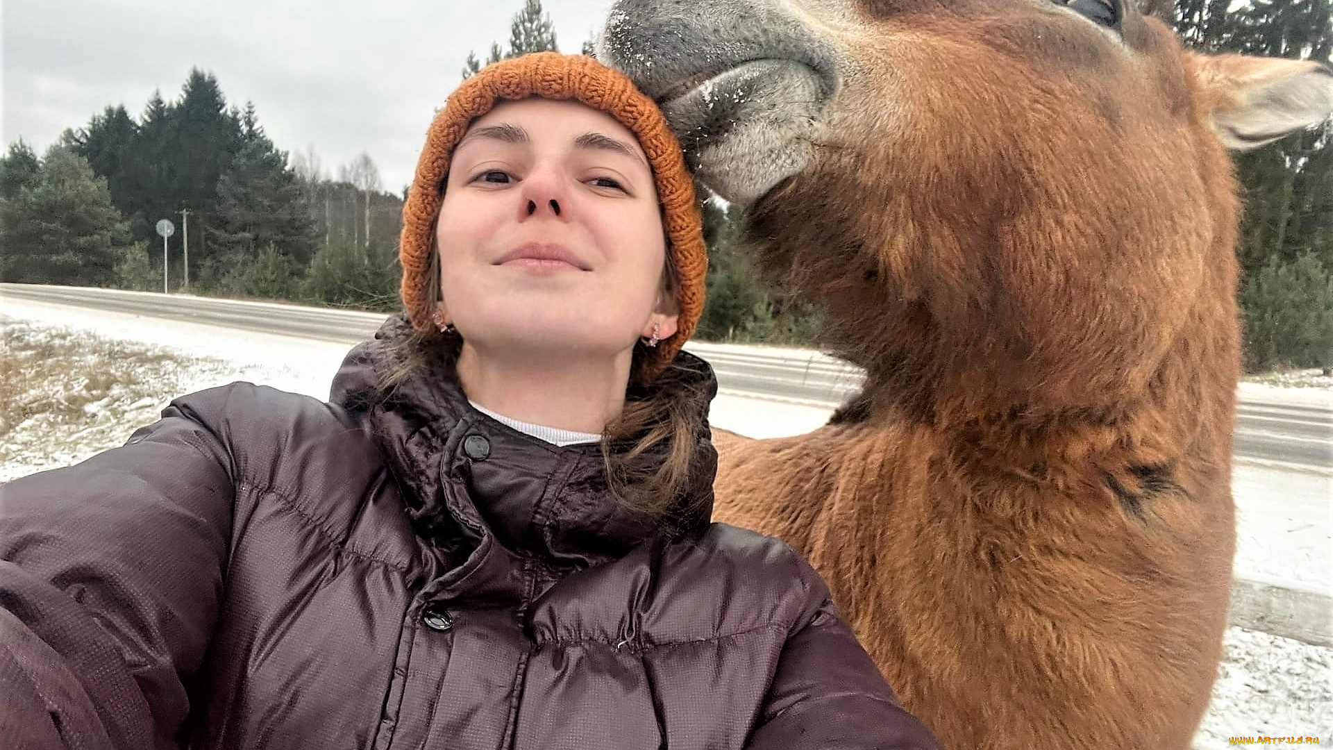 девушки, наталья, фильченкова, , , alisa, шапка, куртка, лошадь