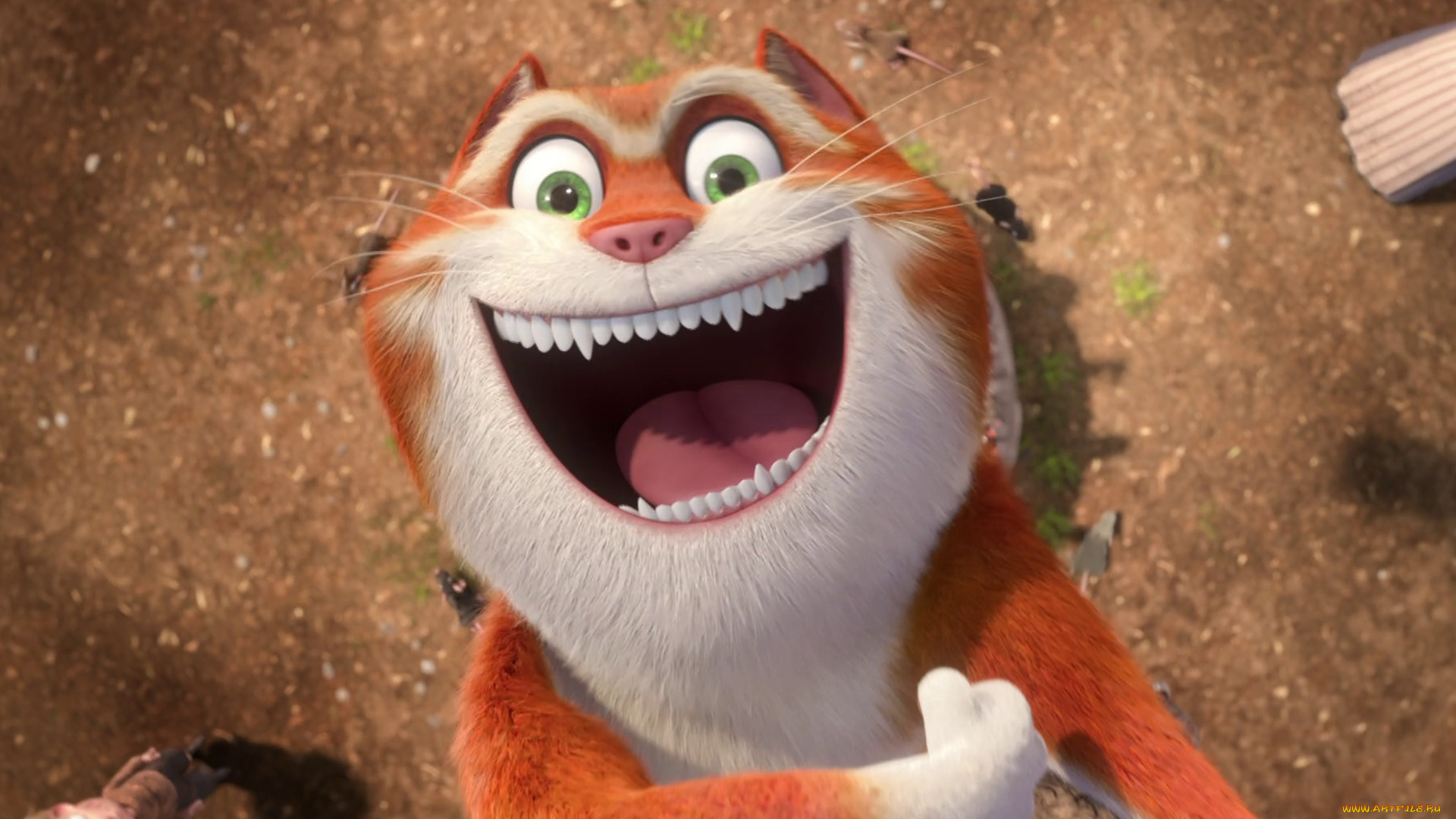 the, amazing, maurice, мультфильмы, the, amazing, maurice, изумительный, морис