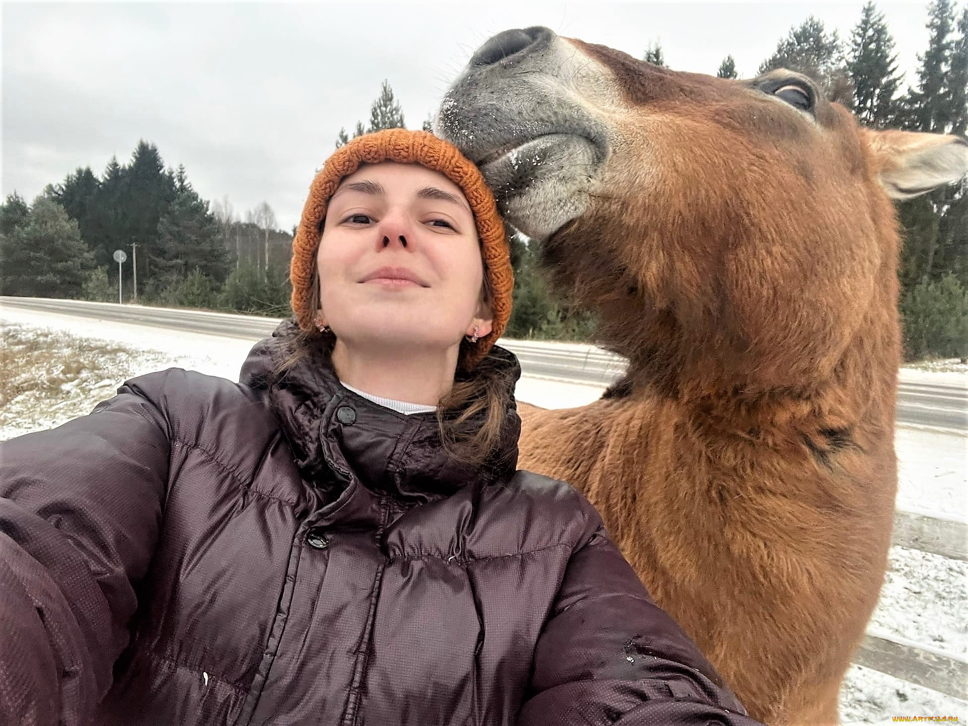 девушки, наталья, фильченкова, , , alisa, шапка, куртка, лошадь