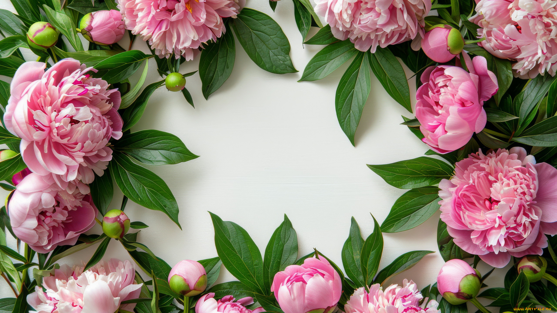 3д, графика, цветы, , flowers, пионы