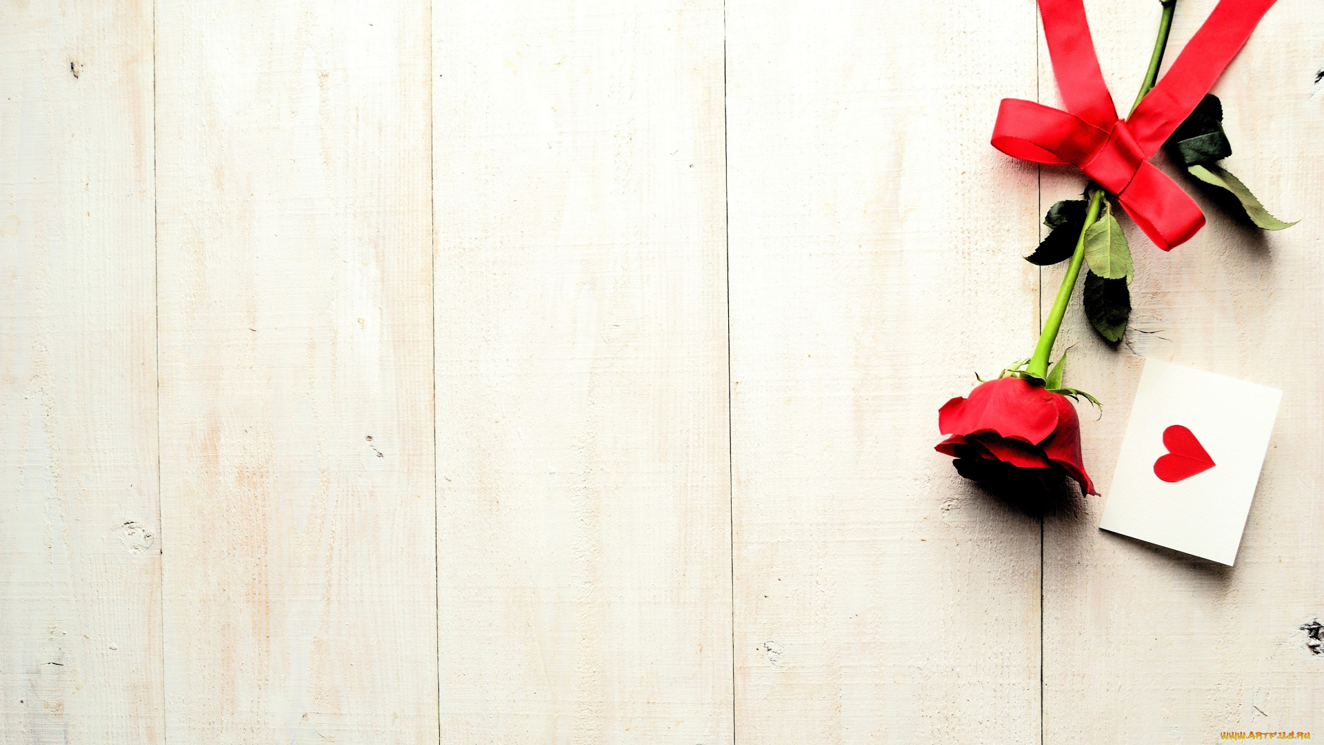 праздничные, день, святого, валентина, , сердечки, , любовь, роза, конверт, сердечко, лента