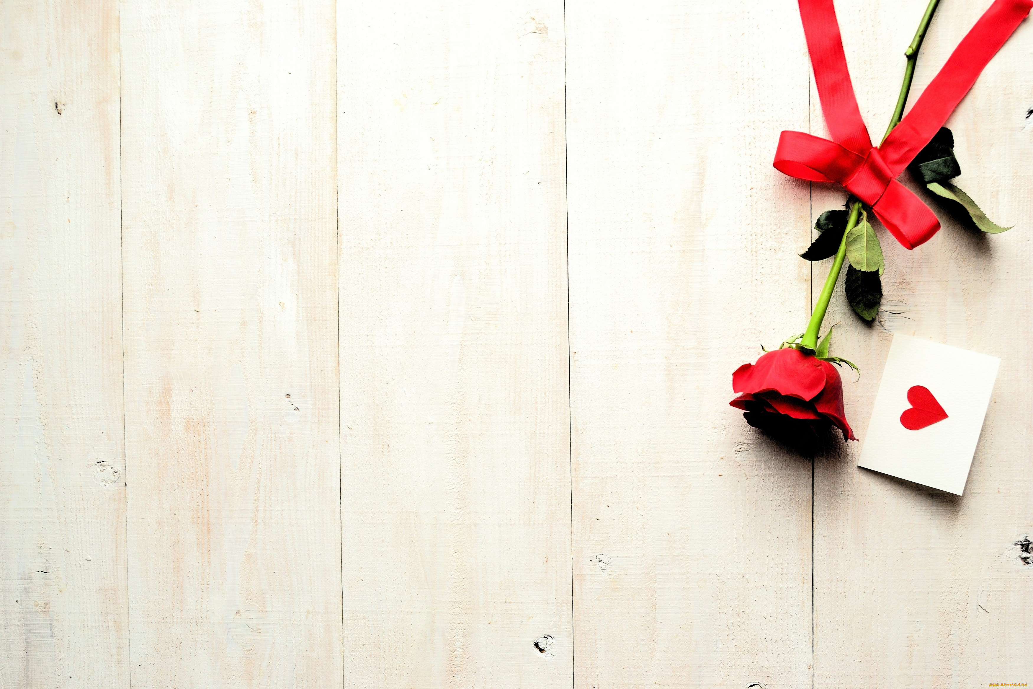 праздничные, день, святого, валентина, , сердечки, , любовь, роза, конверт, сердечко, лента