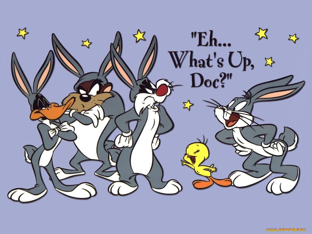 мультфильмы, looney, tunes