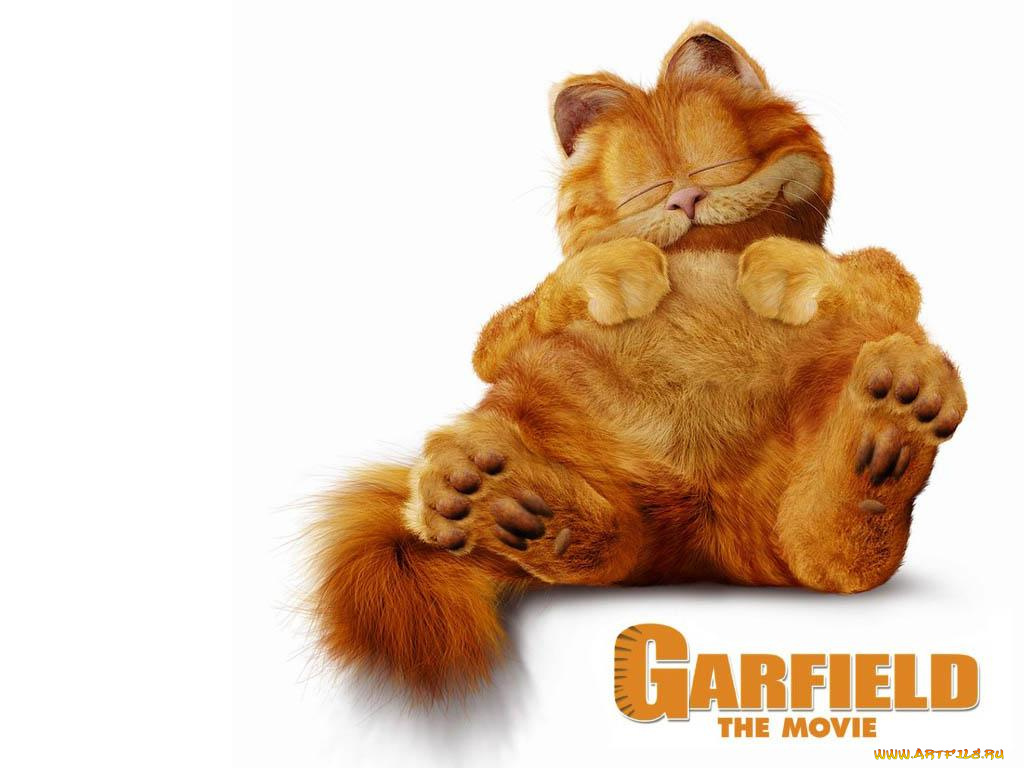 мультфильмы, garfield