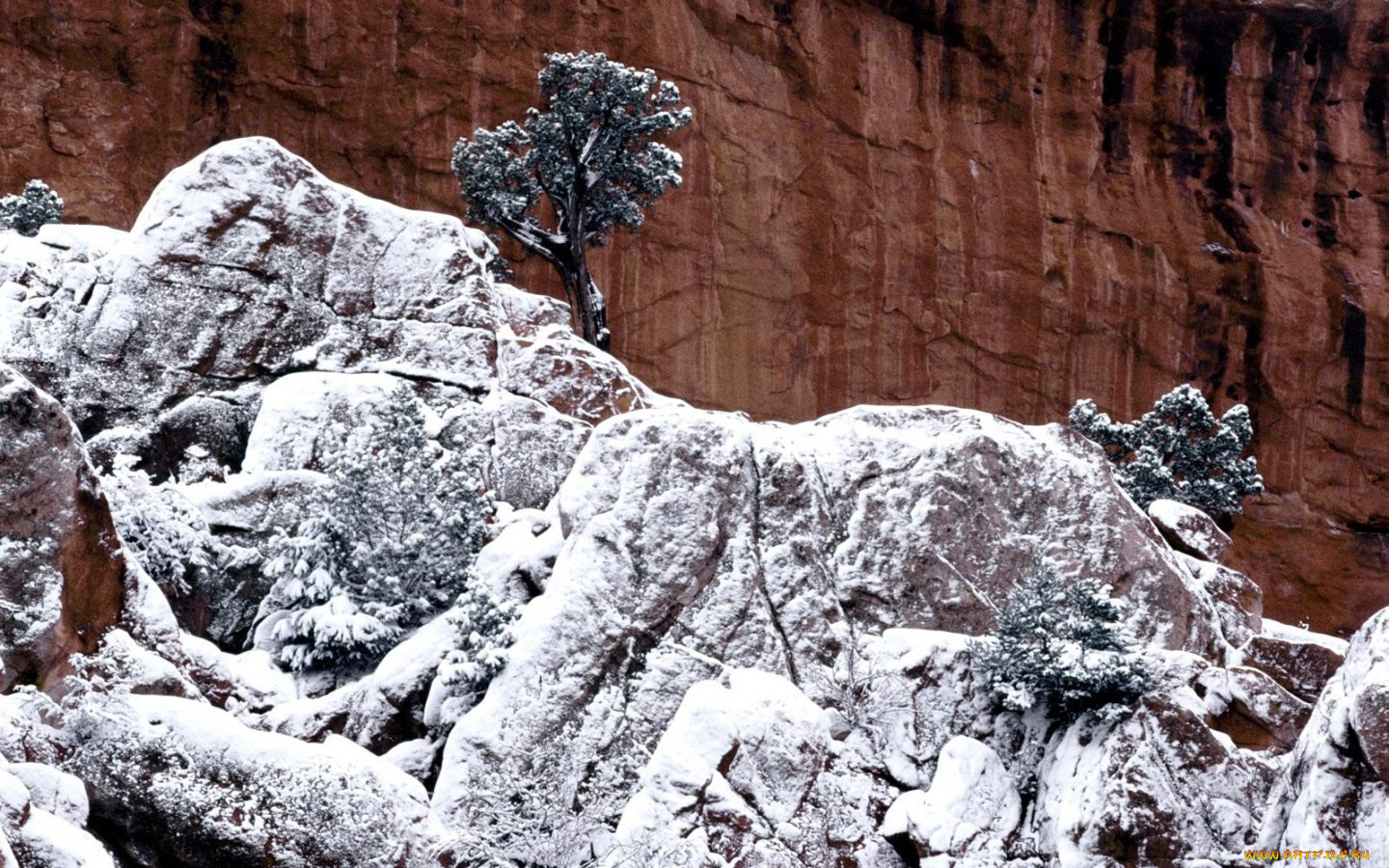 природа, горы