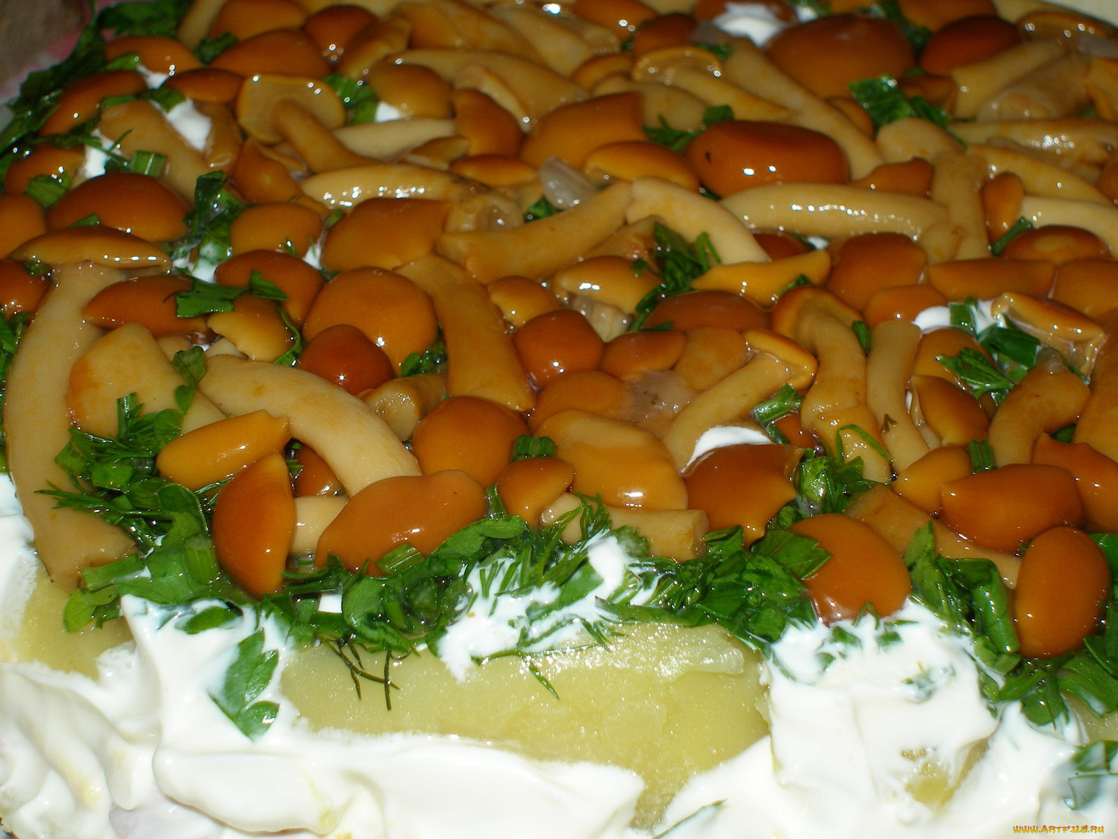 еда, грибы, грибные, блюда