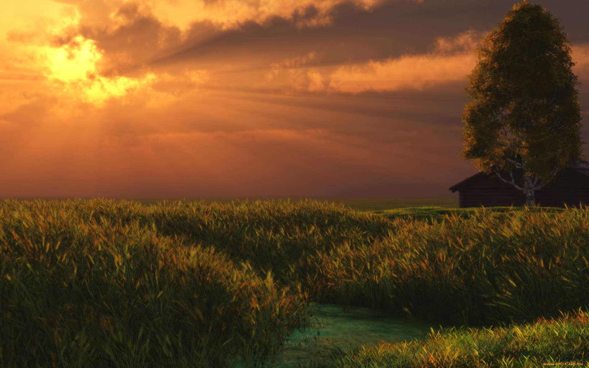 3д, графика, nature, landscape, природа