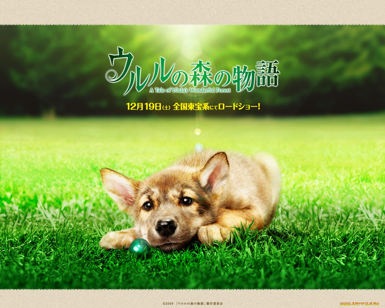 животные, собаки