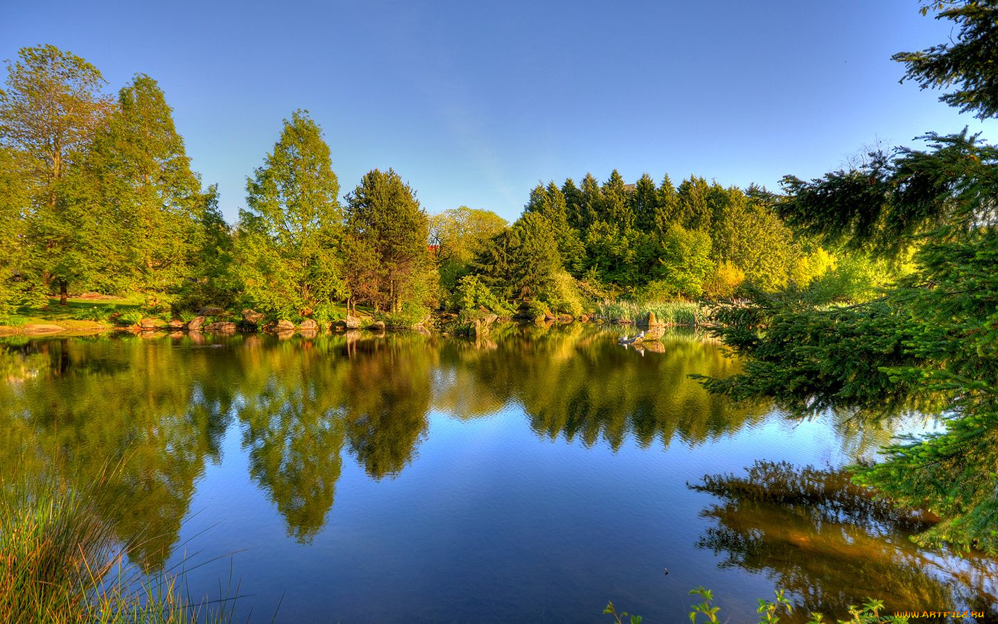 природа, реки, озера