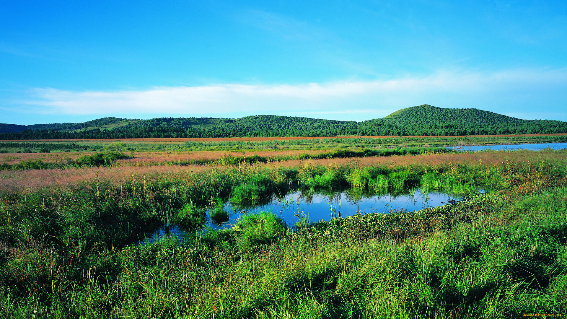 природа, пейзажи