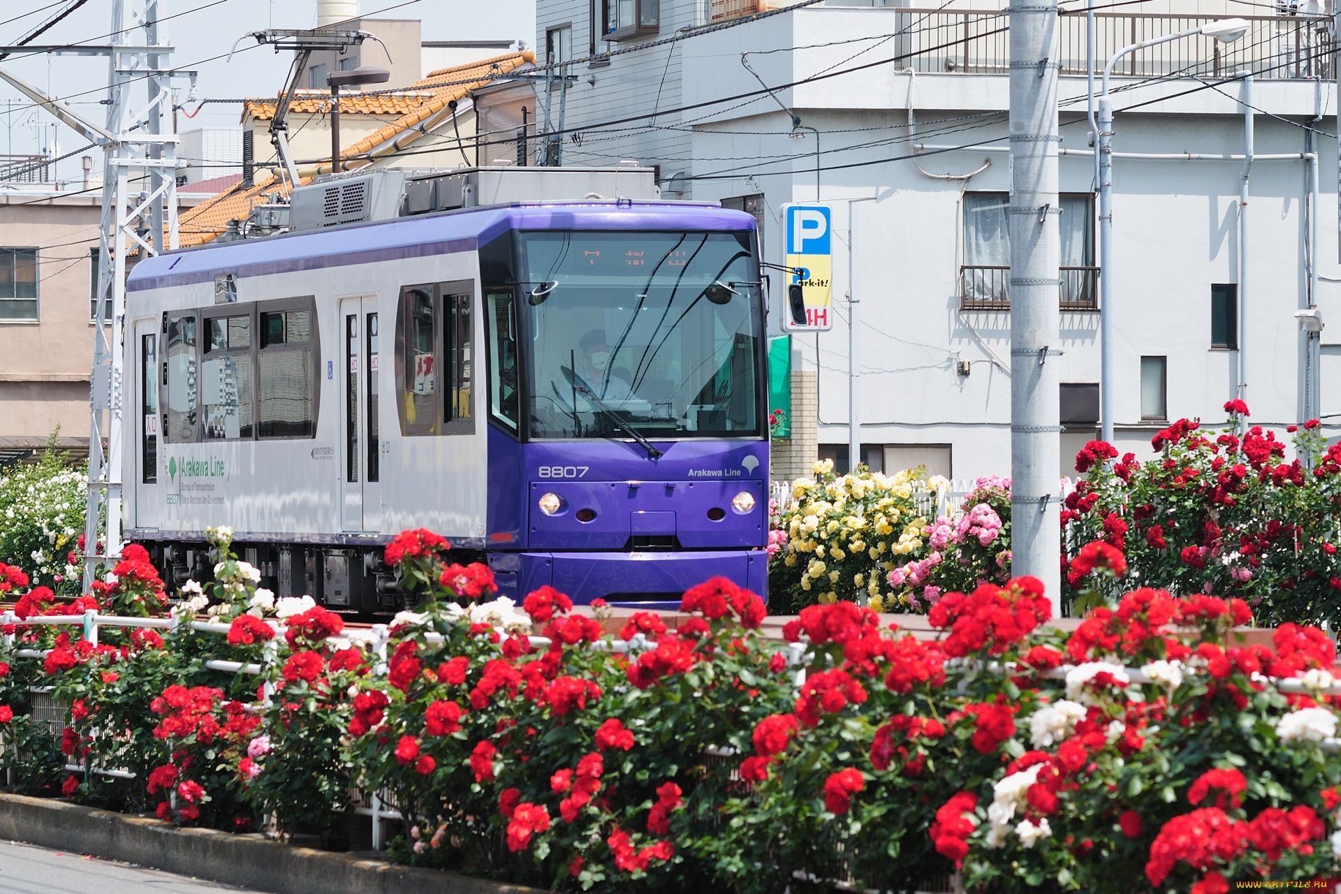 техника, трамваи