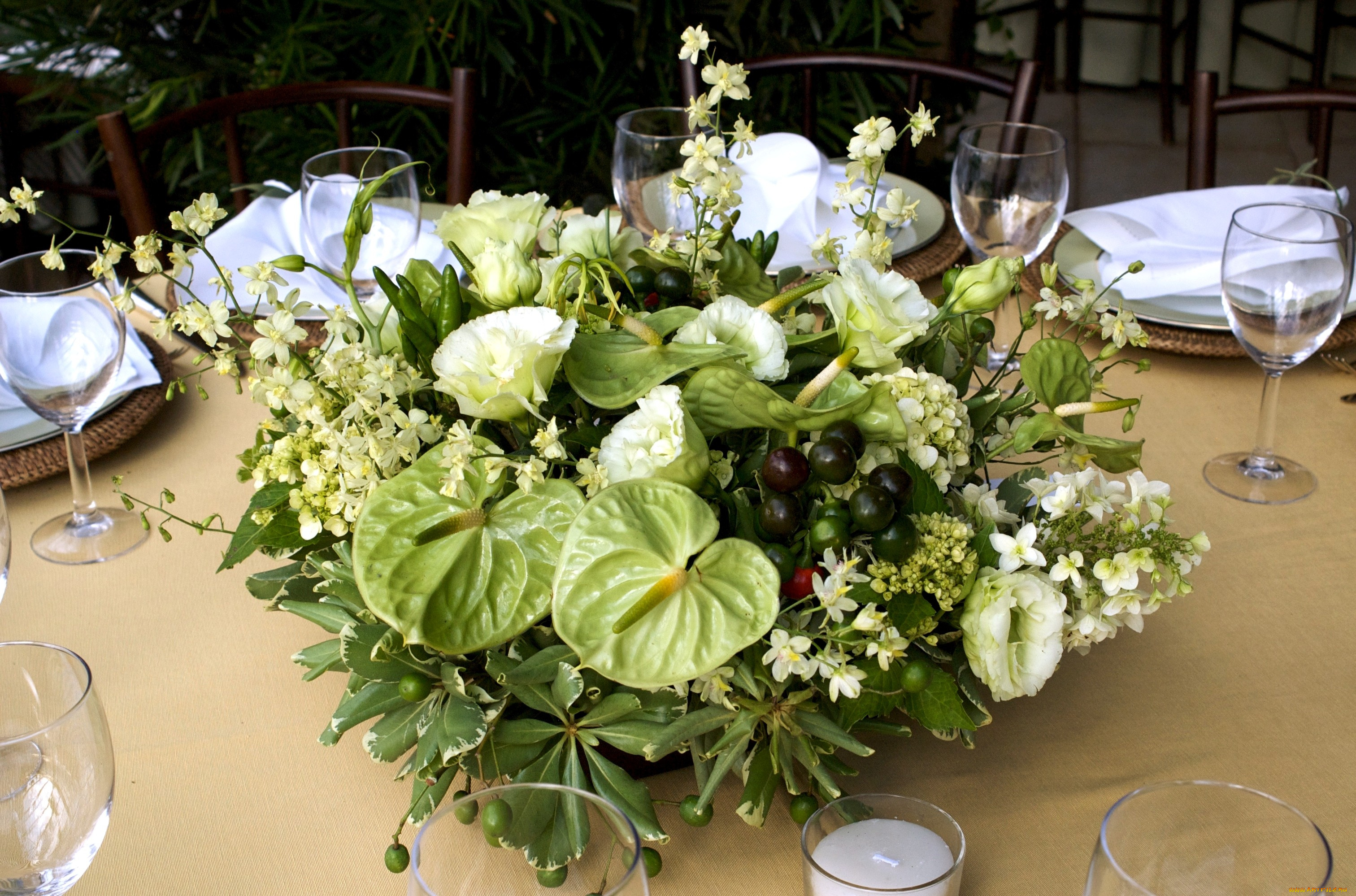 цветы, букеты, композиции