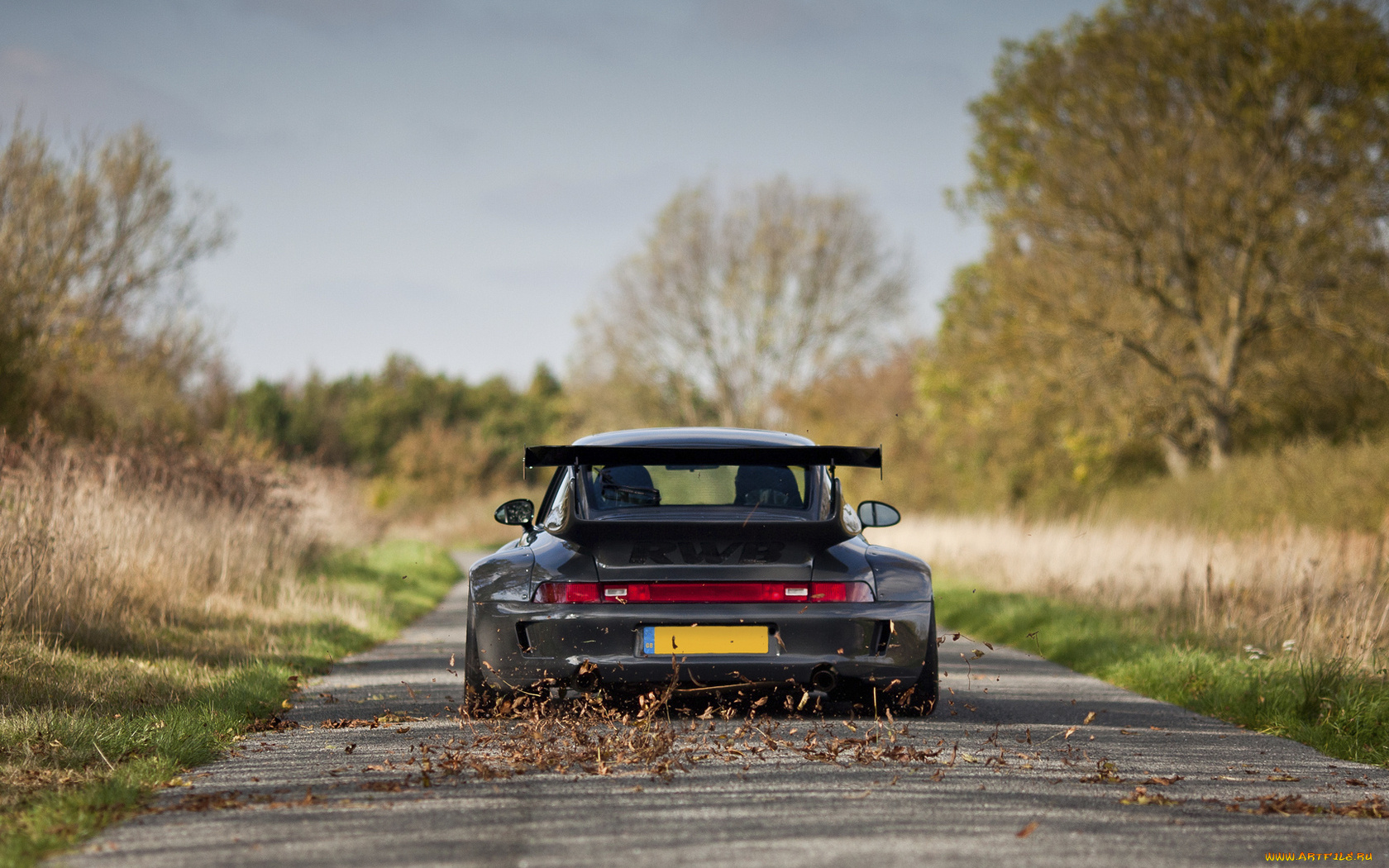 автомобили, porsche, листья