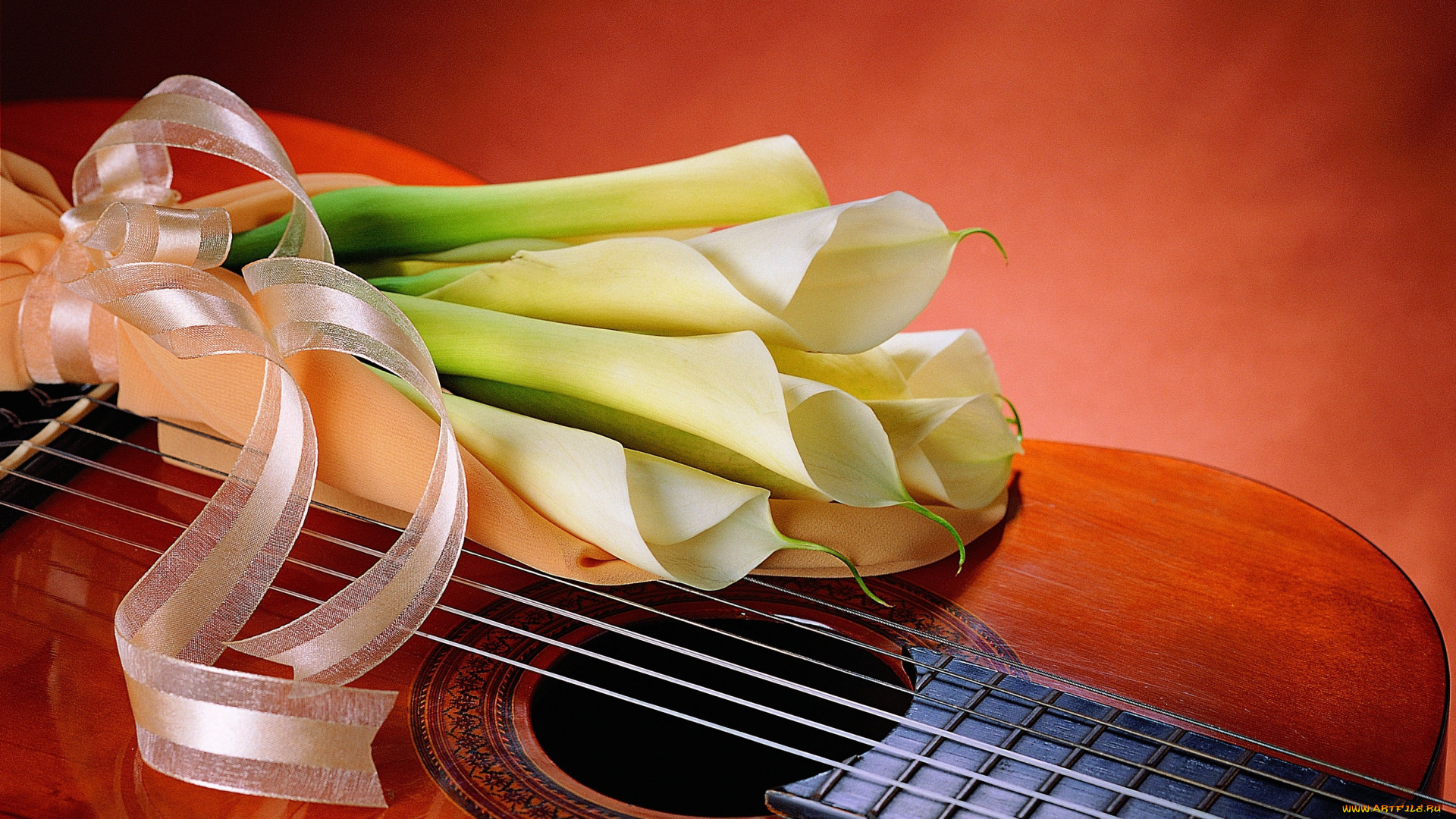 музыка, музыкальные, инструменты, лента, каллы, гитара
