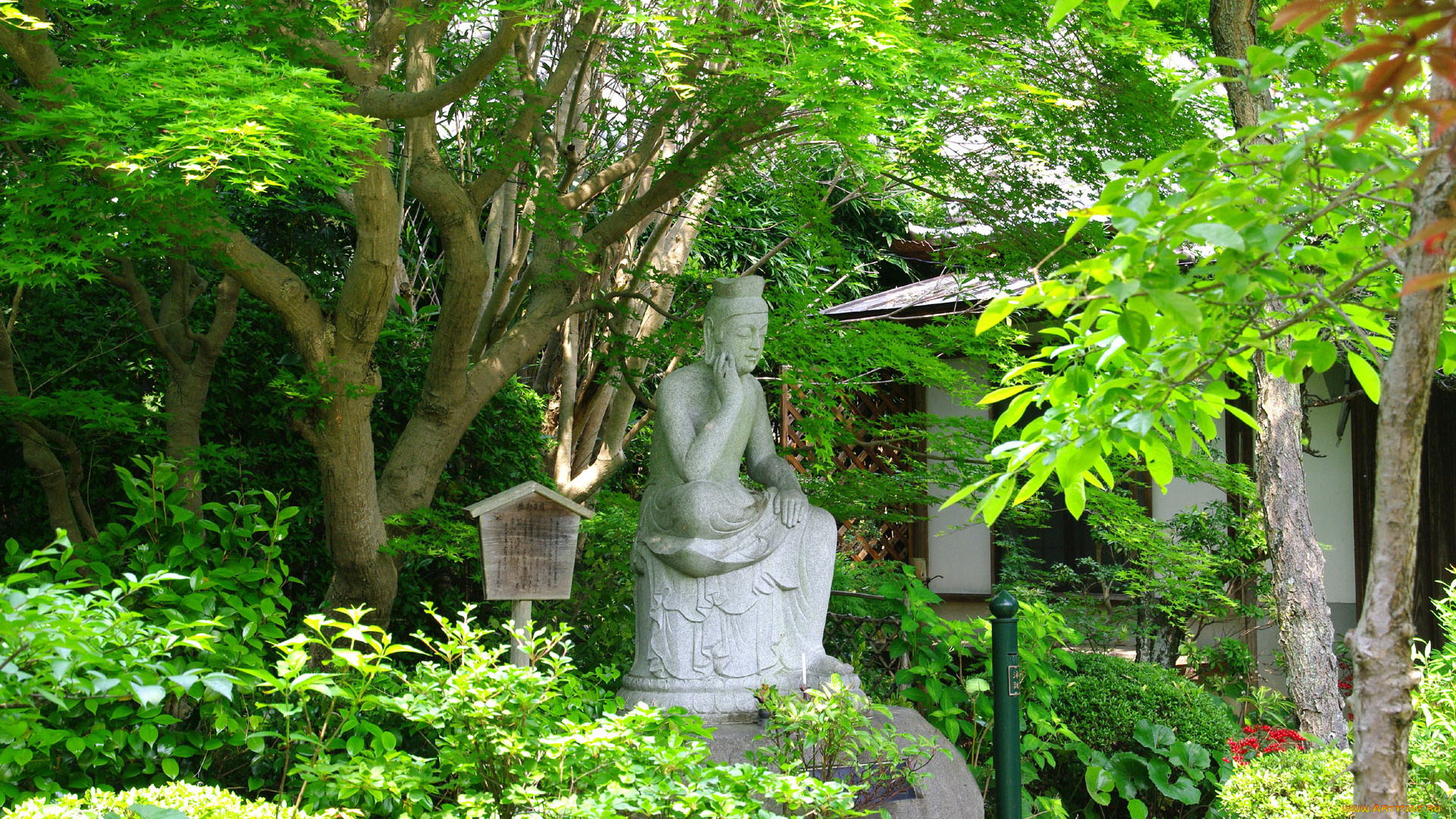 разное, рельефы, статуи, музейные, экспонаты, скульптута, деревья