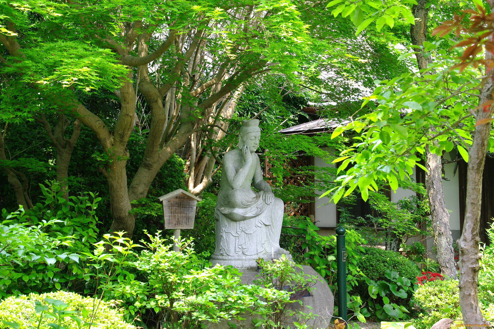 разное, рельефы, статуи, музейные, экспонаты, скульптута, деревья