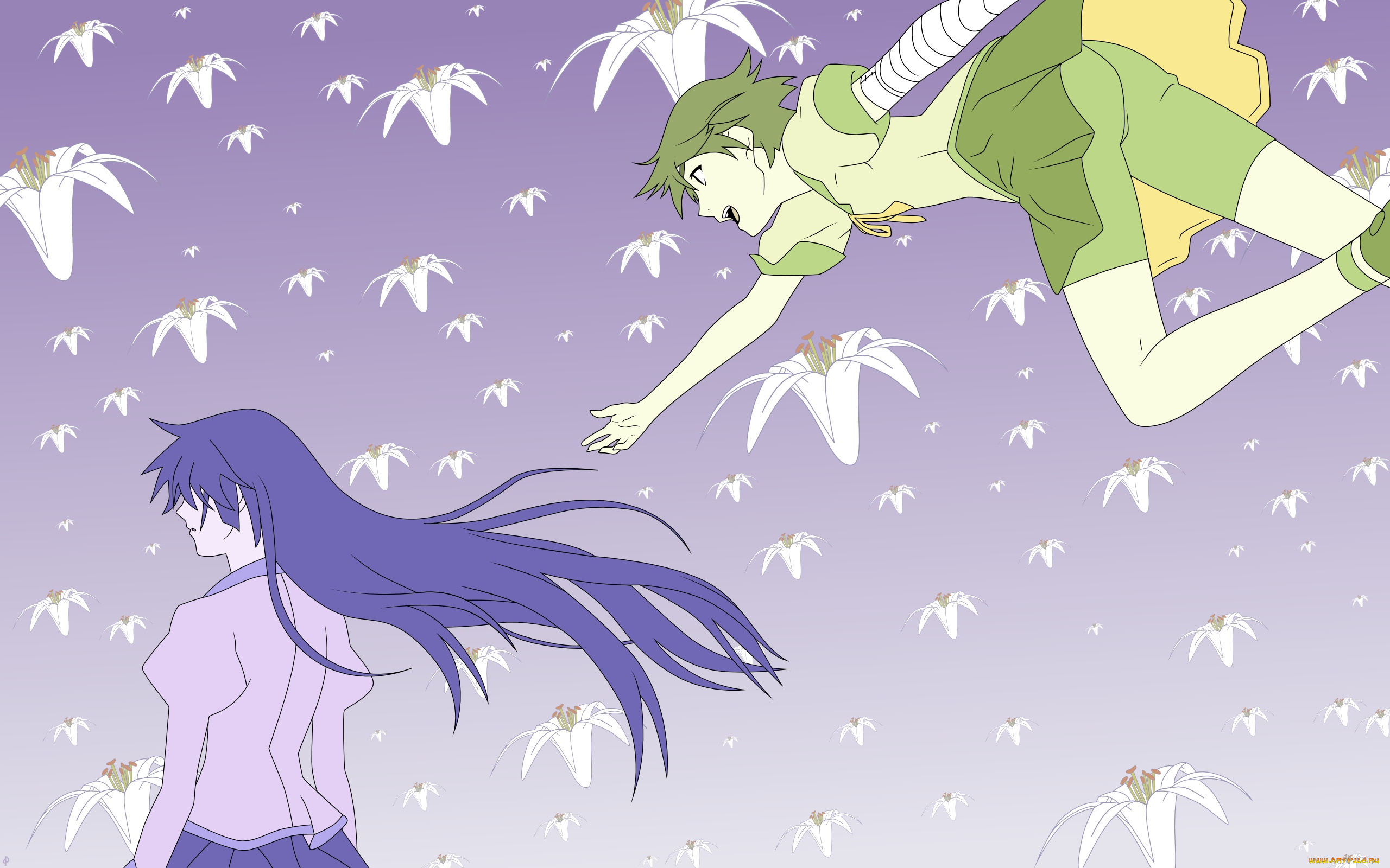 аниме, bakemonogatari, kanbaru, suruga, девушка, форма, бинт, шорты, цветы, senjougahara, hitagi