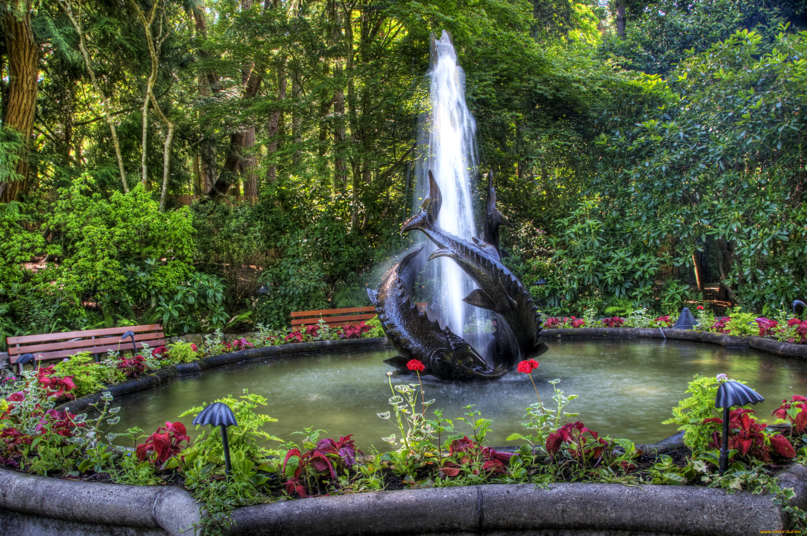 города, фонтаны, butchart, victoria, канада