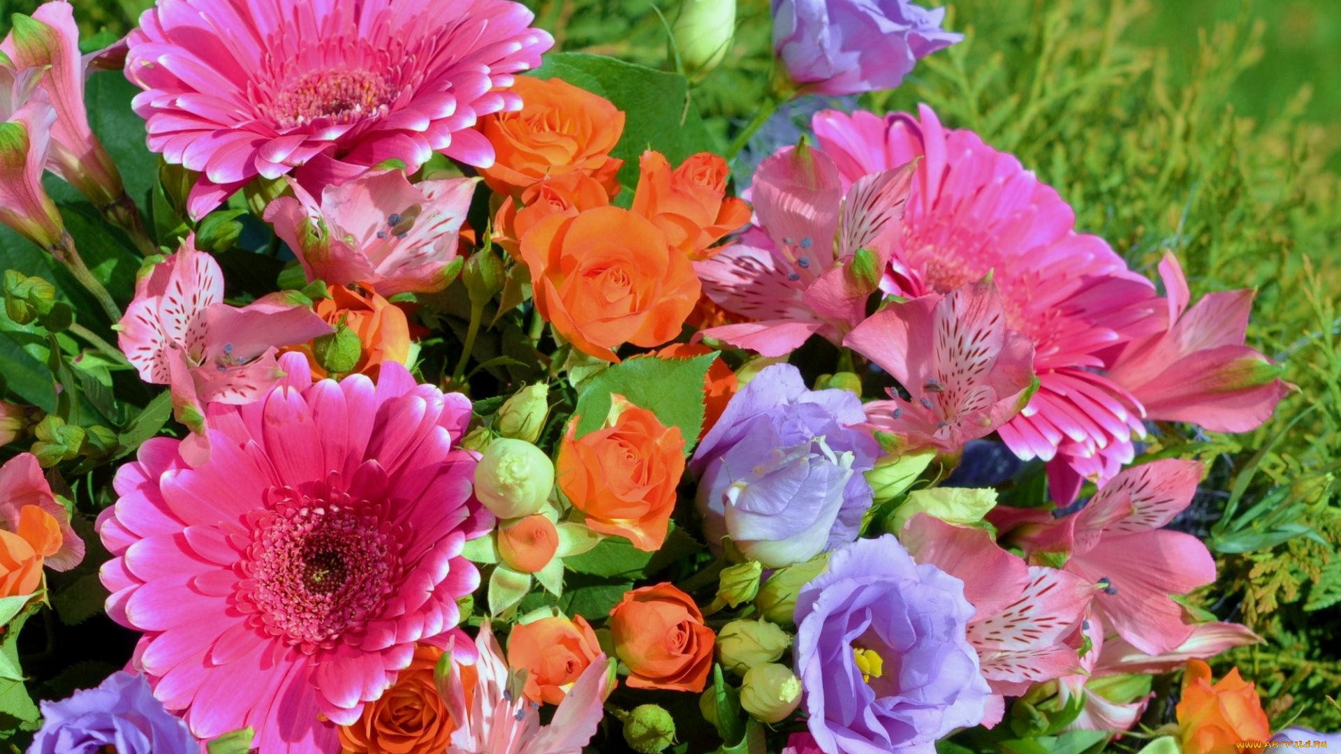 цветы, разные, вместе, гербера, роза, эустома