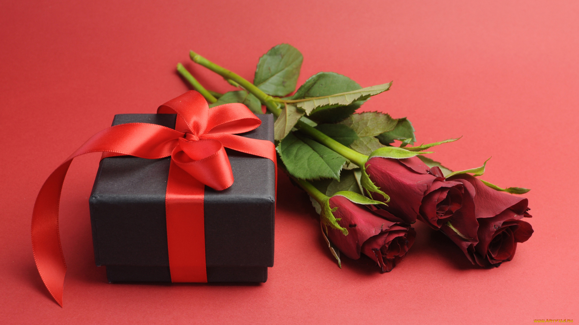 цветы, розы, red, roses, romantic, gift, романтика, подарок, любовь