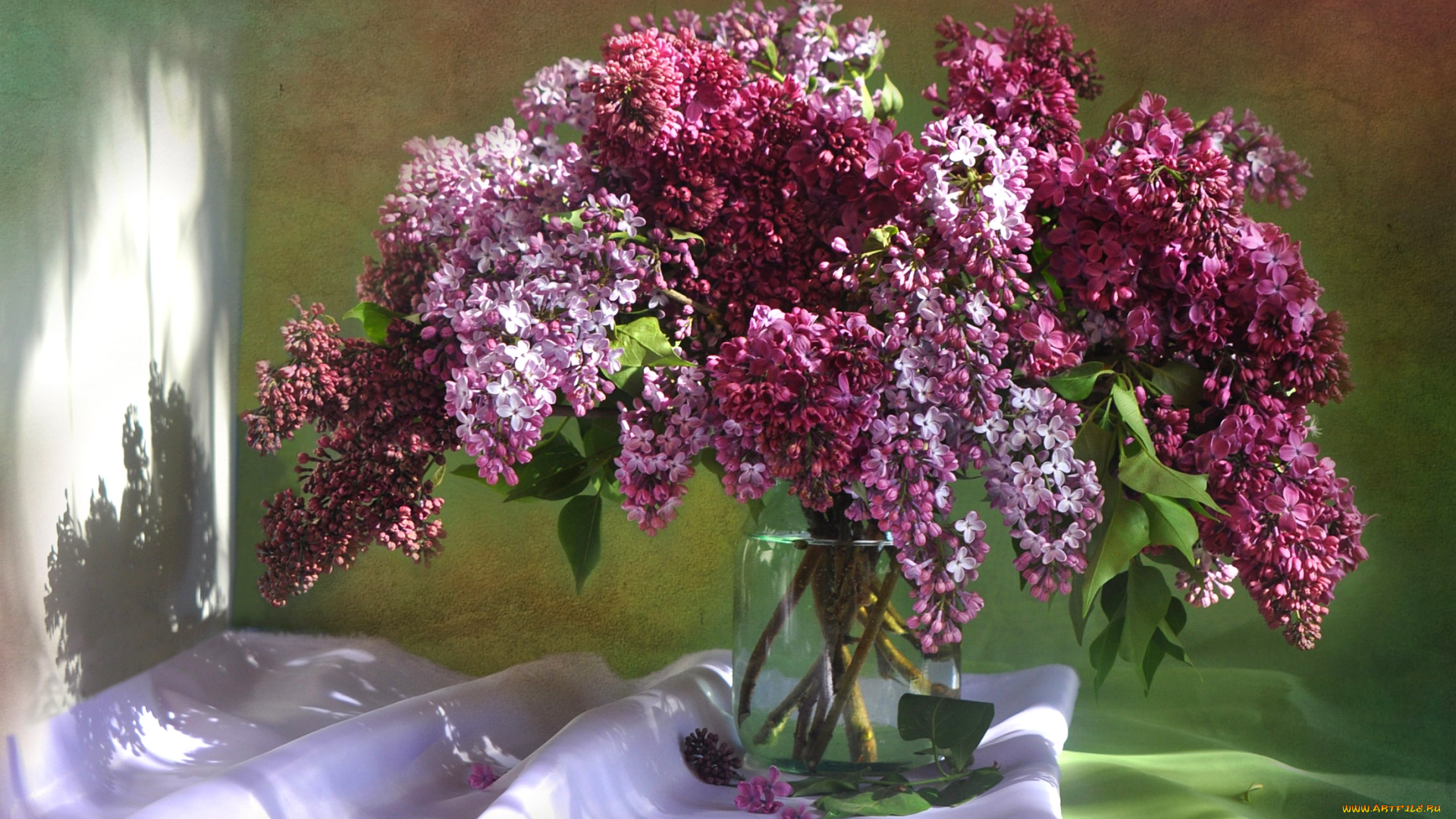 цветы, сирень, букет