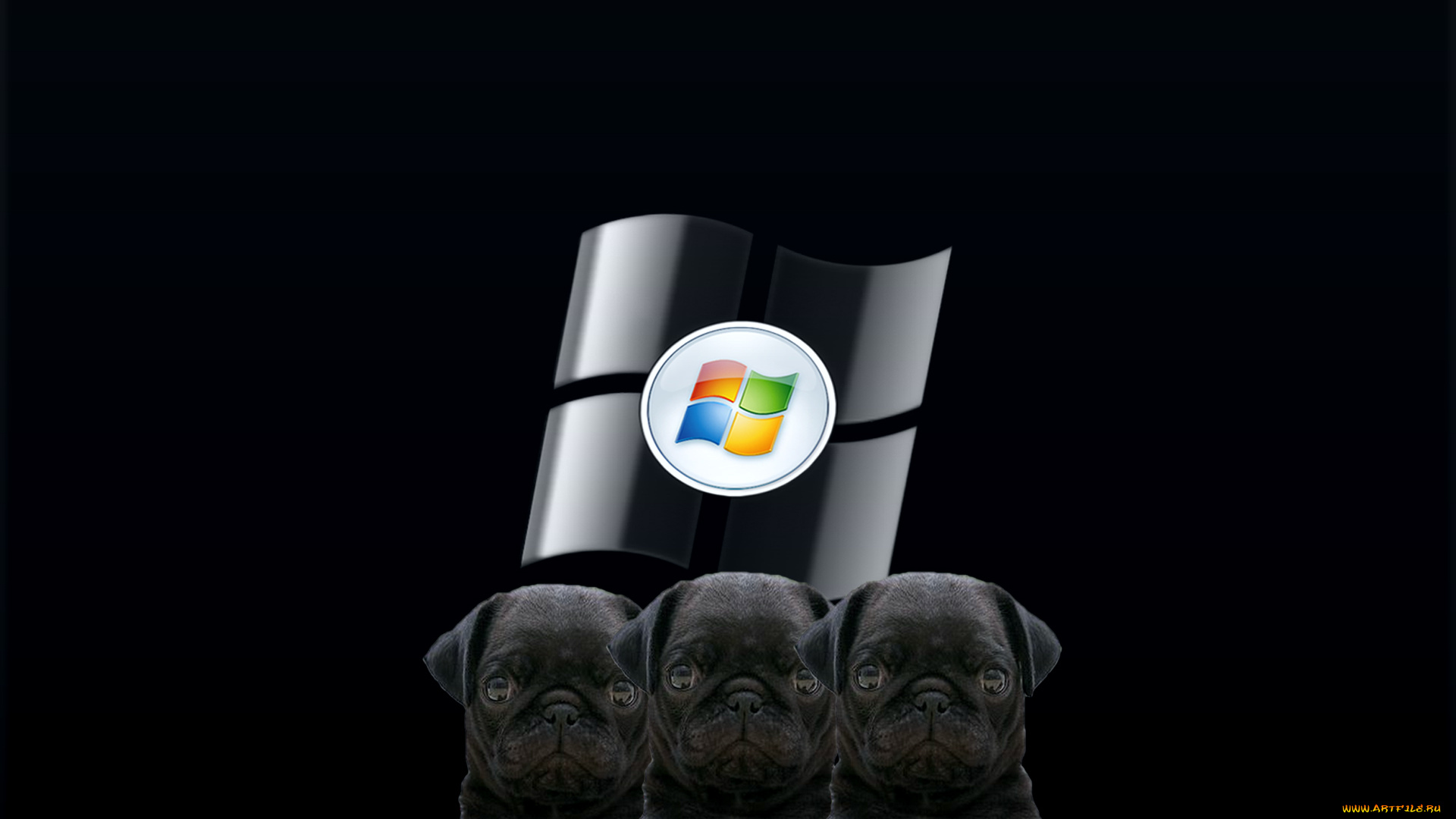 компьютеры, windows, vista, windows, longhorn, собаки, фон, логотип