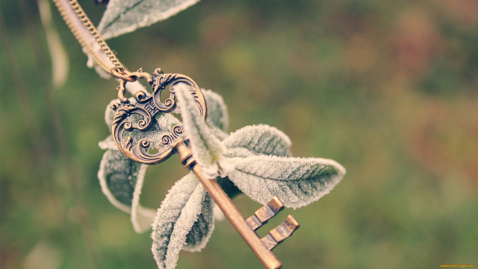 разное, ключи, , замки, , дверные, ручки, ключ