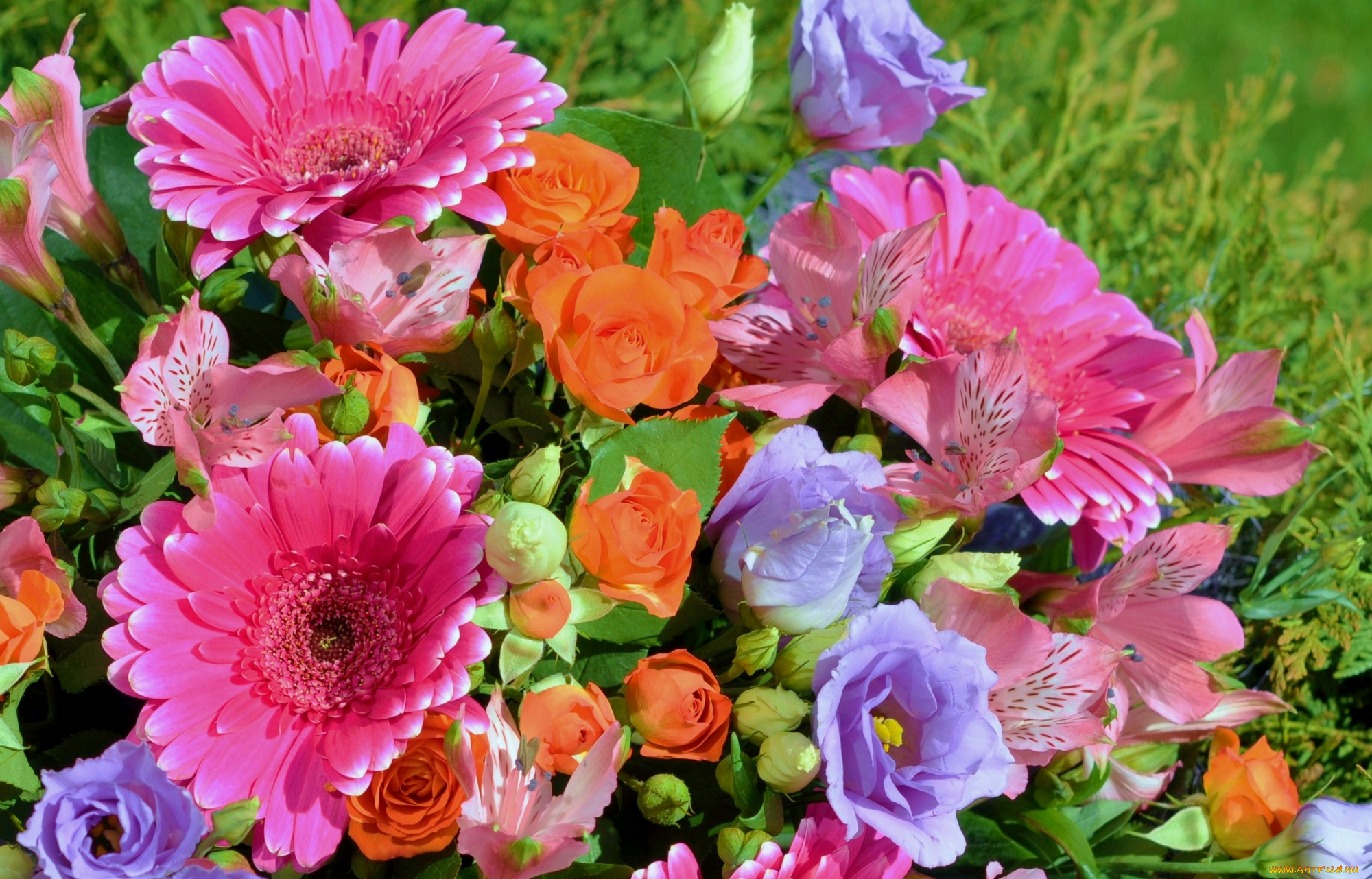 цветы, разные, вместе, гербера, роза, эустома