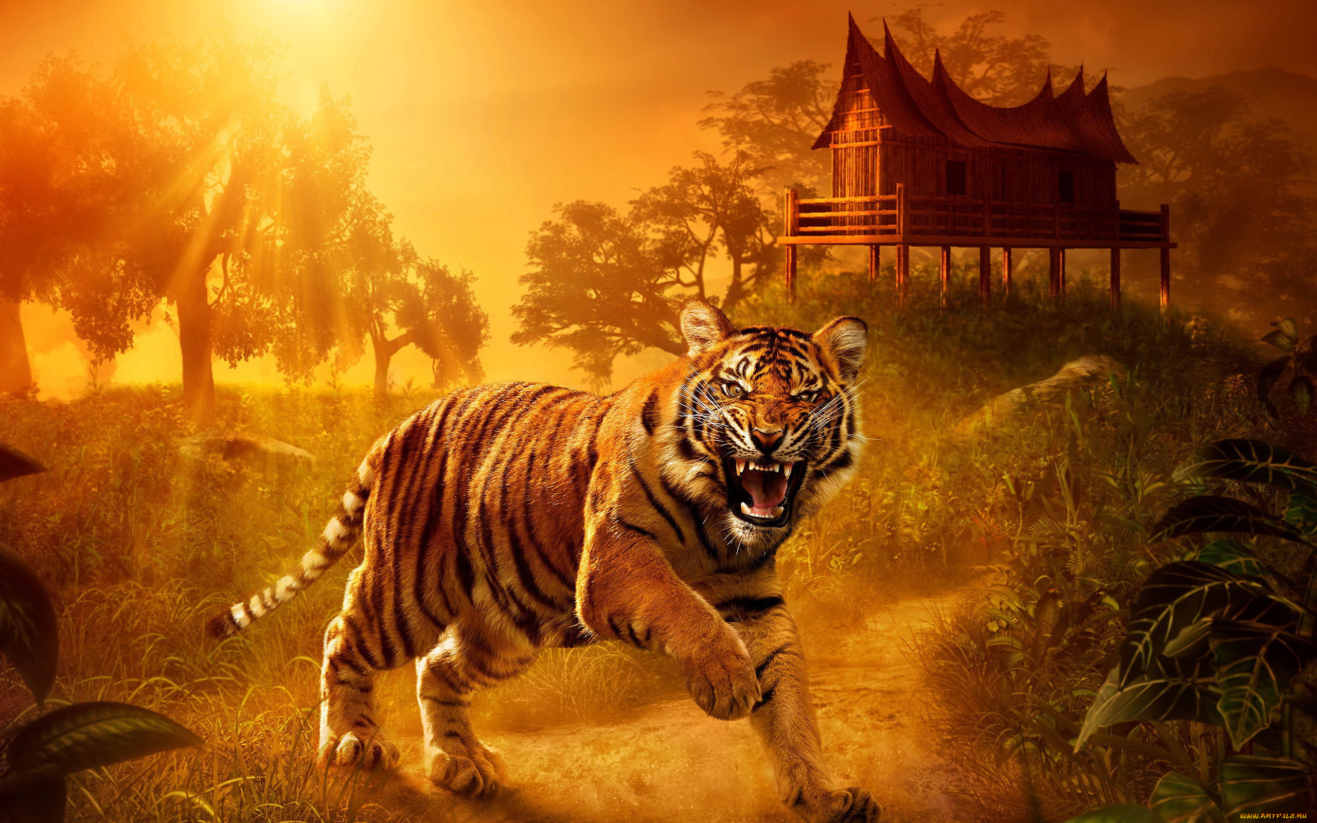 животные, тигры, тигр, пейзаж