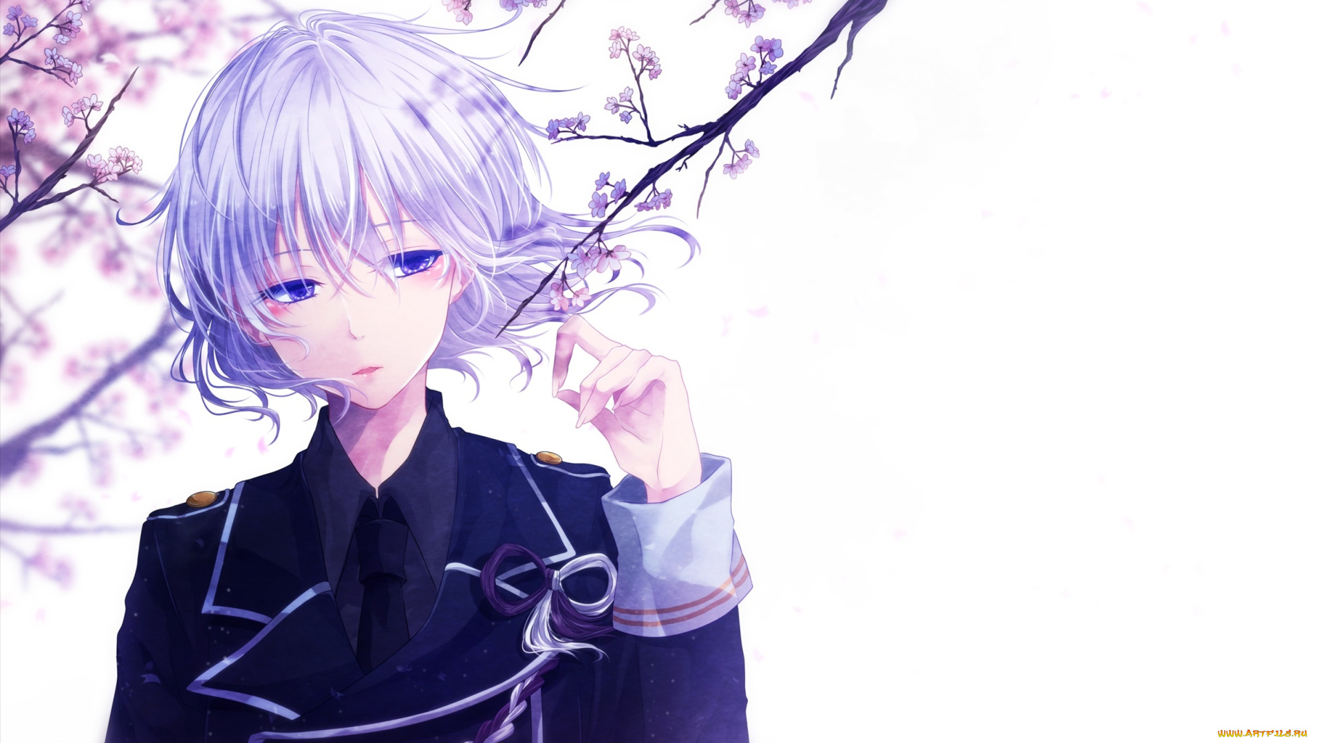 аниме, unknown, , другое, touken, ranbu, парень, арт, весна, цветы, ветки, mokoppe, honebami, toshiro