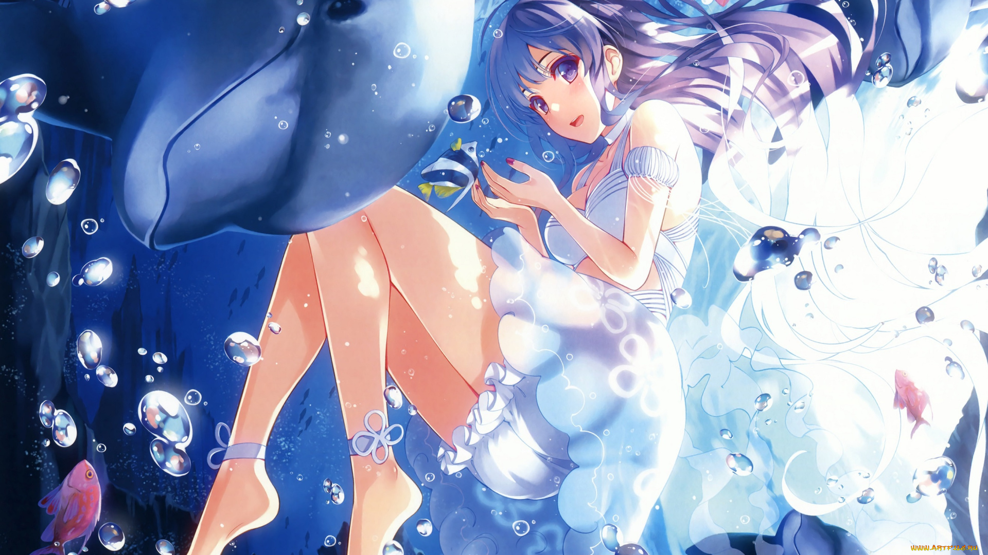 аниме, животные, , существа, море, арт, kuroya, shinobu, девушка, пузыри, дельфин, вода