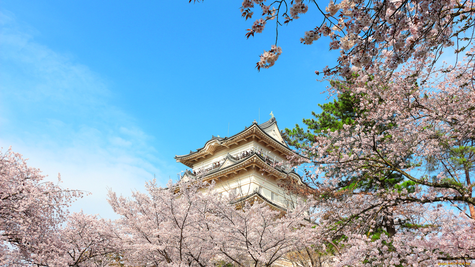 города, -, здания, , дома, осака, пагода, сакура, весна, замок, Япония