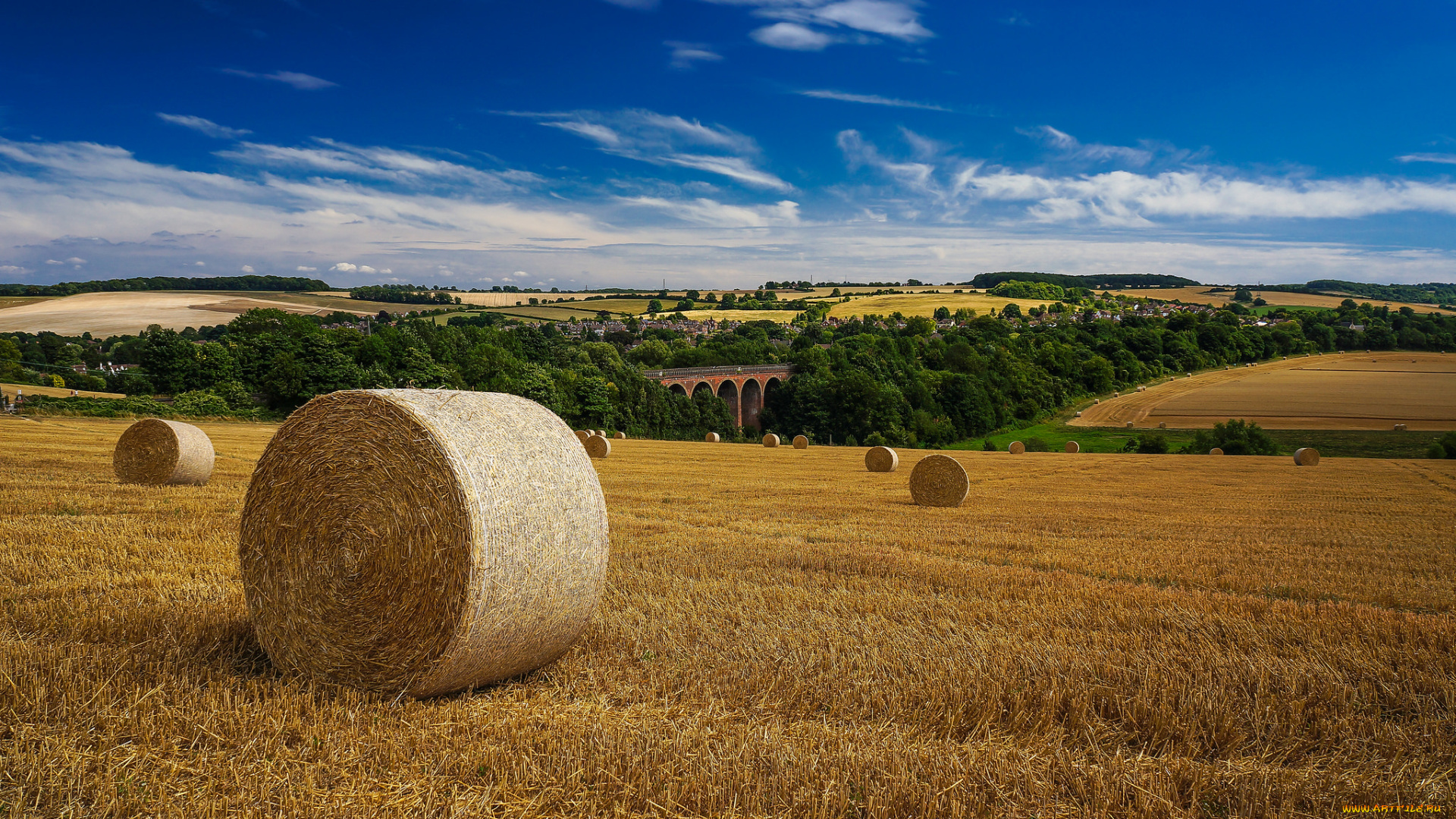 природа, поля, поле, валок